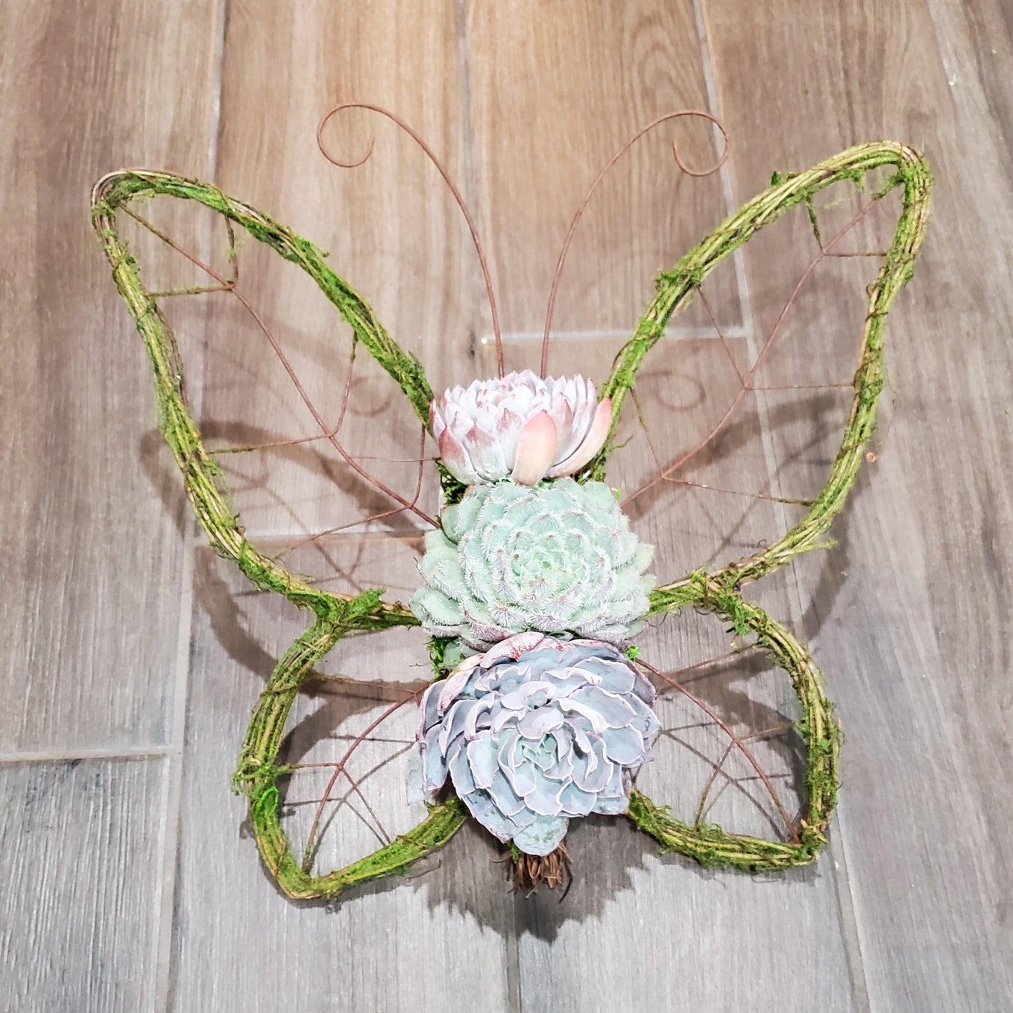 Evie Butterfly Wreath