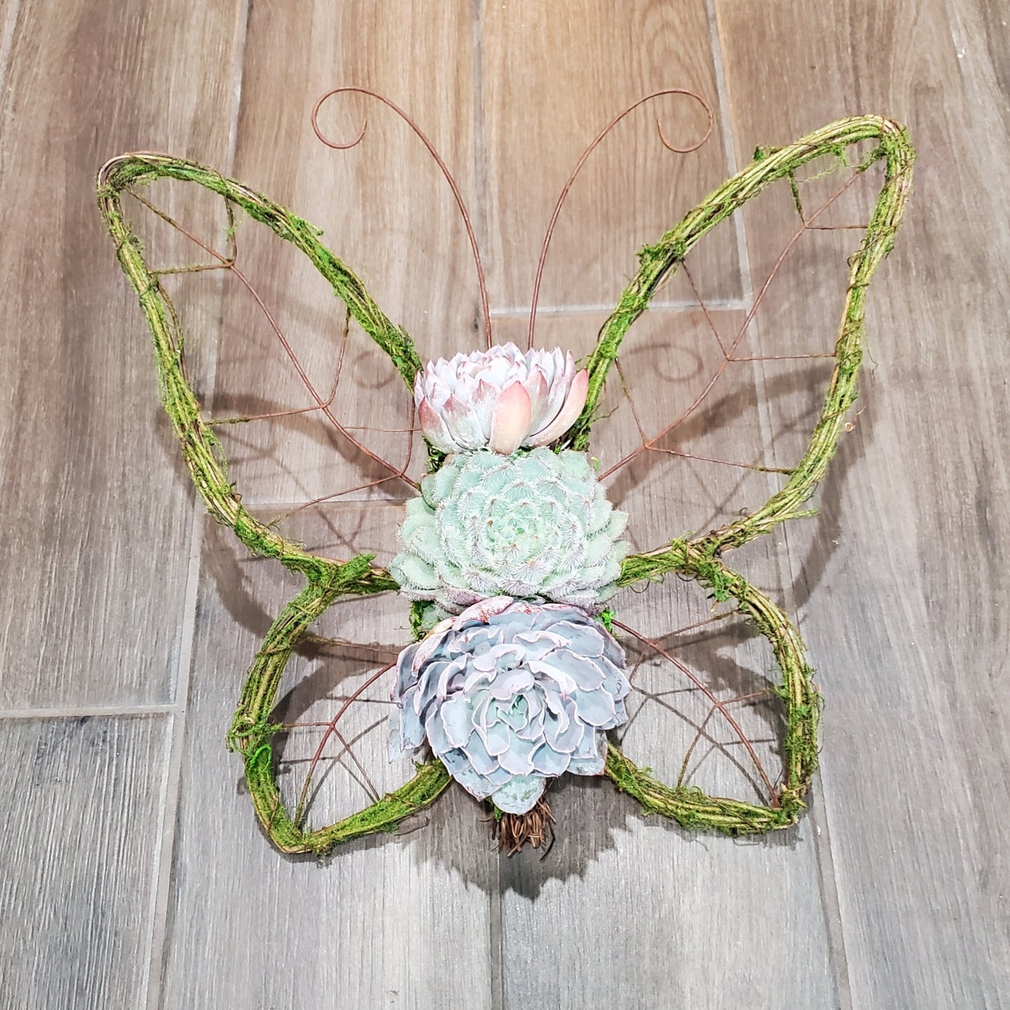 Evie Butterfly Wreath