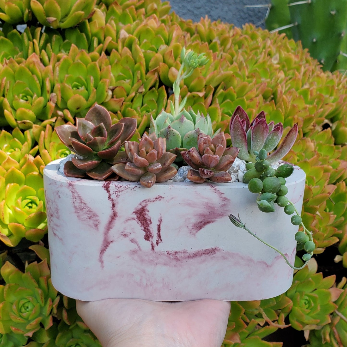 Large Cement Marble Planter Arrangement
