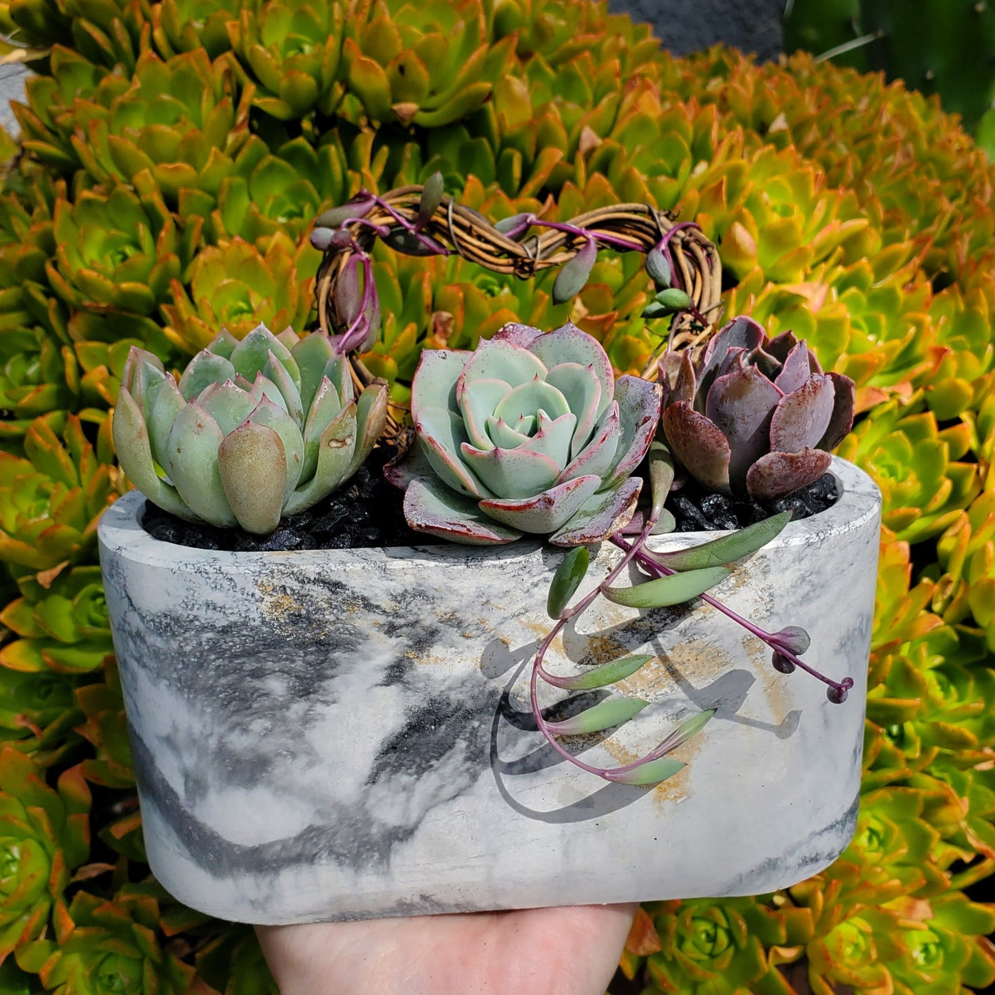 Large Cement Marble Planter Trellis Arrangement