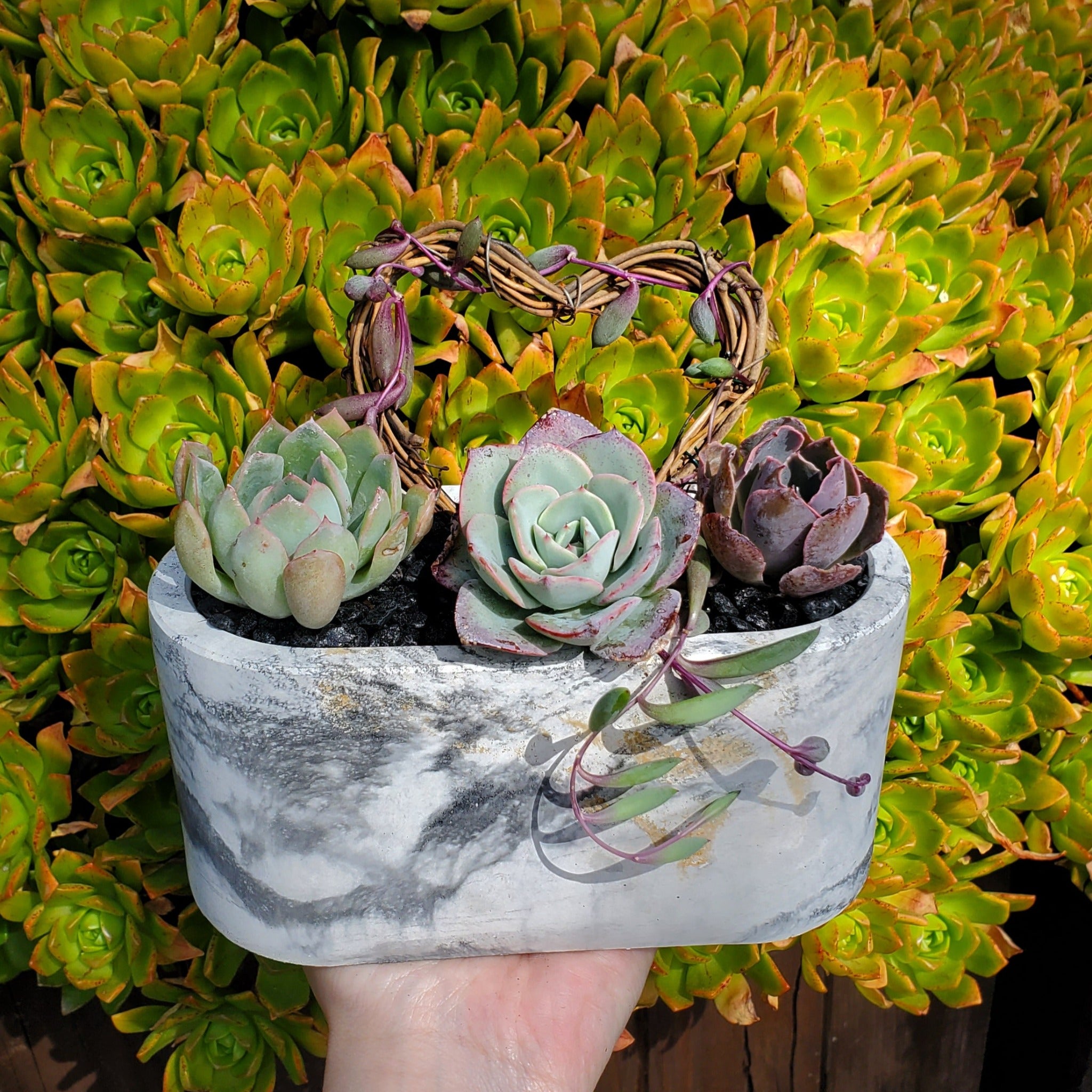 marble succulent Large Cement Marble Planter Trellis Arrangement