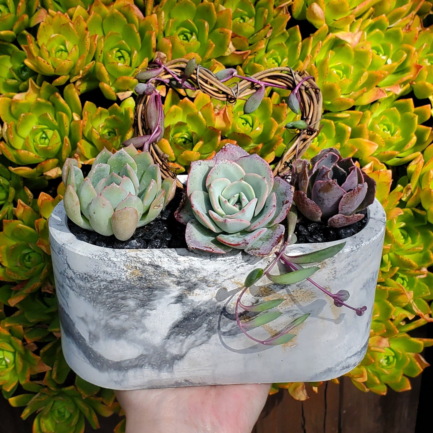 Large Cement Marble Planter Trellis Arrangement