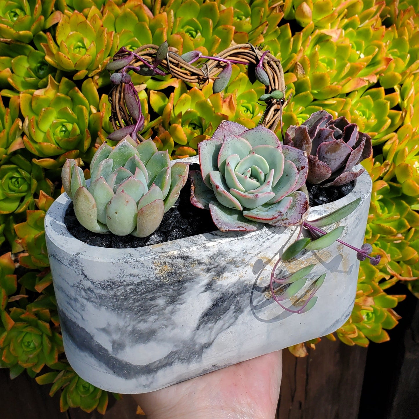 Large Cement Marble Planter Trellis Arrangement