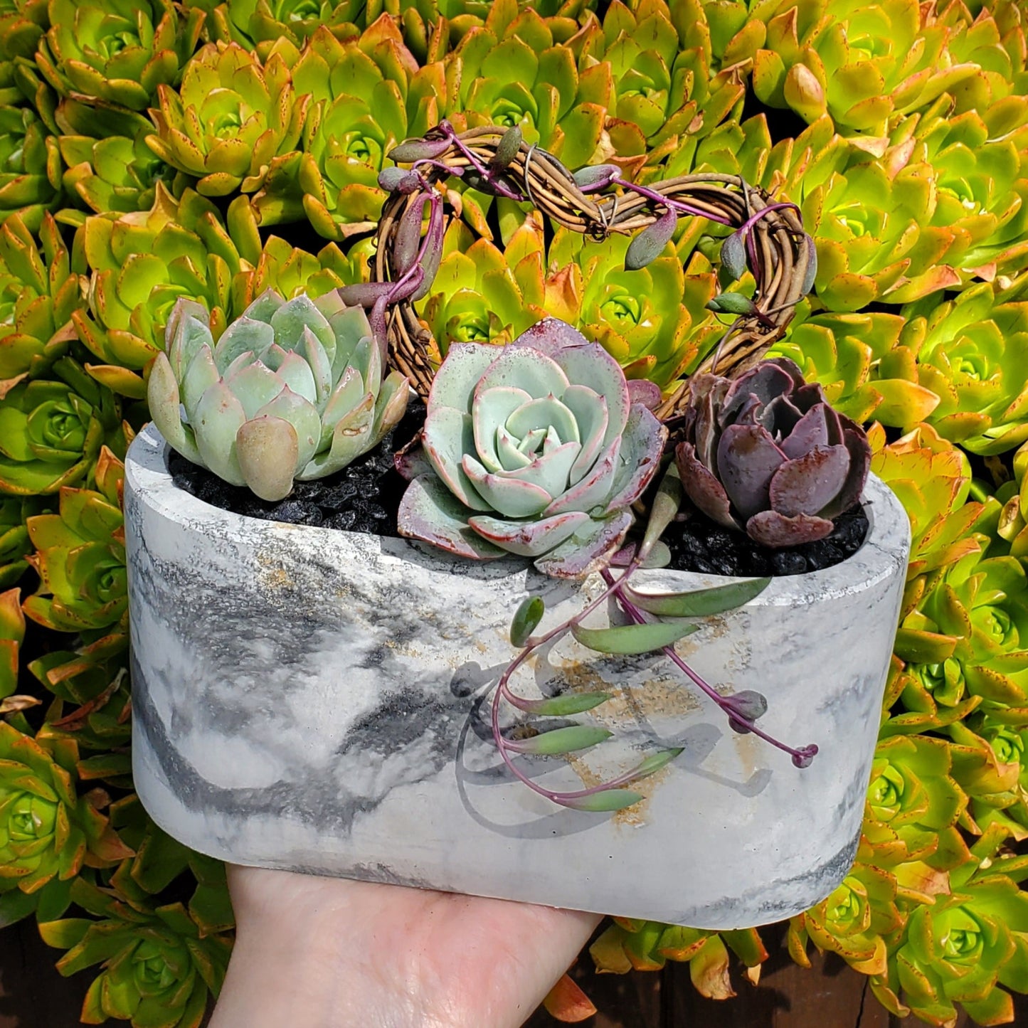 Large Cement Marble Planter Trellis Arrangement