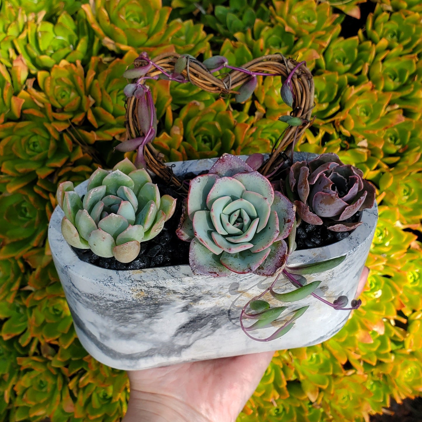 Large Cement Marble Planter Trellis Arrangement