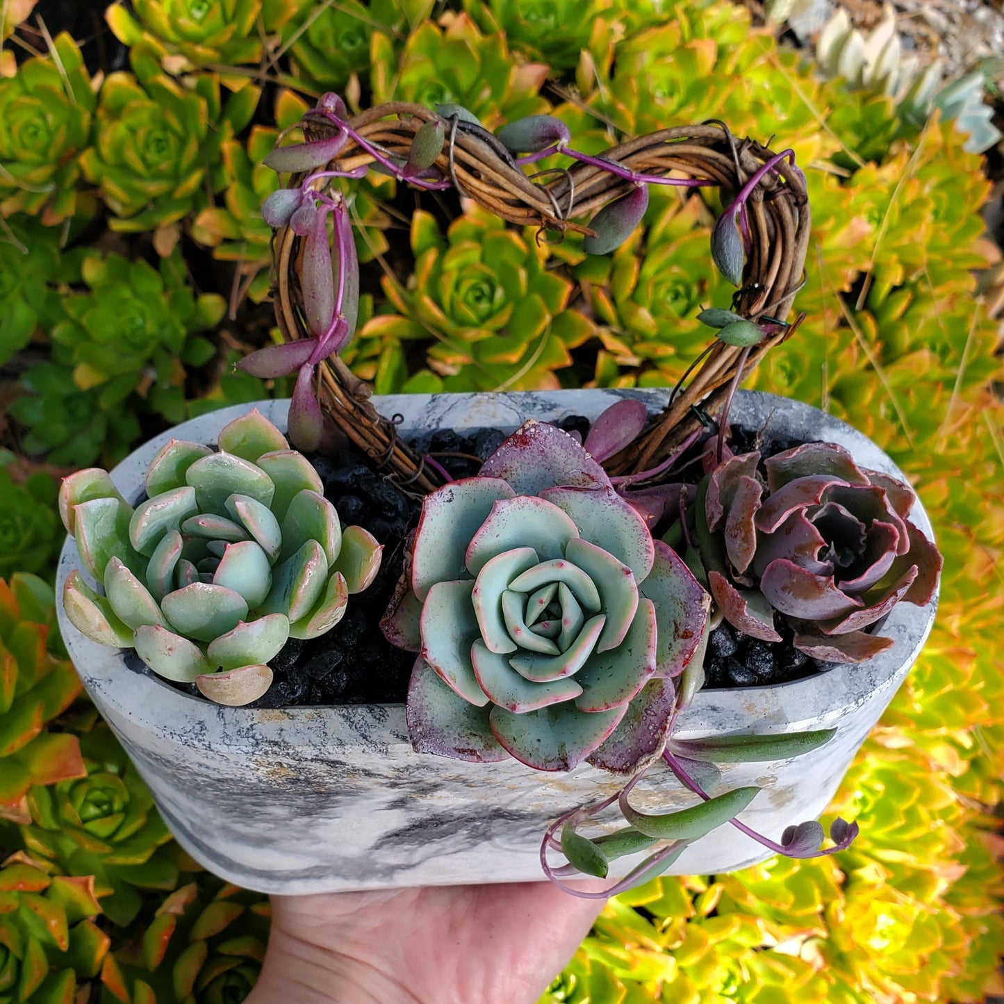 Large Cement Marble Planter Trellis Arrangement