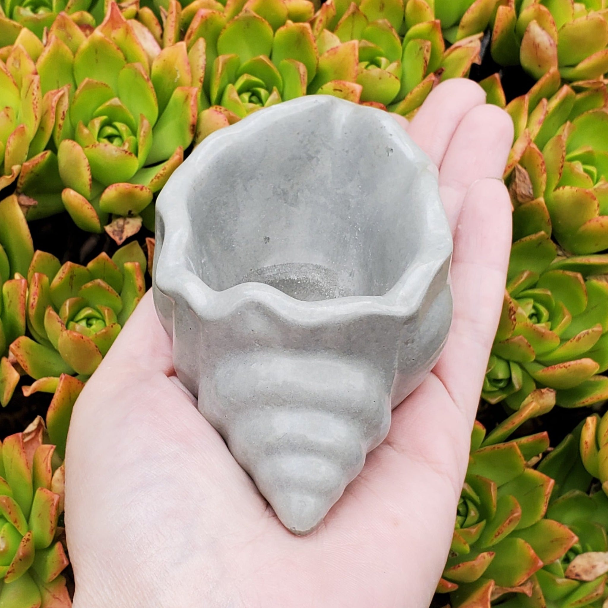 cement planter pots Seashell Cement Planter
