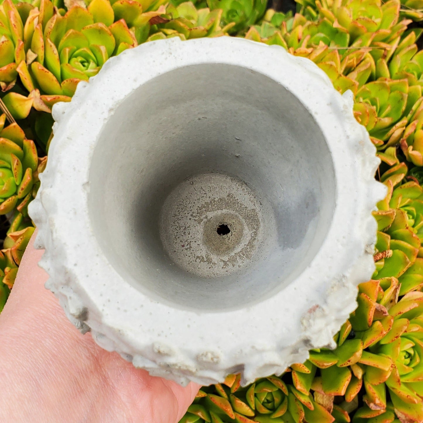 Goddess Cement Planter