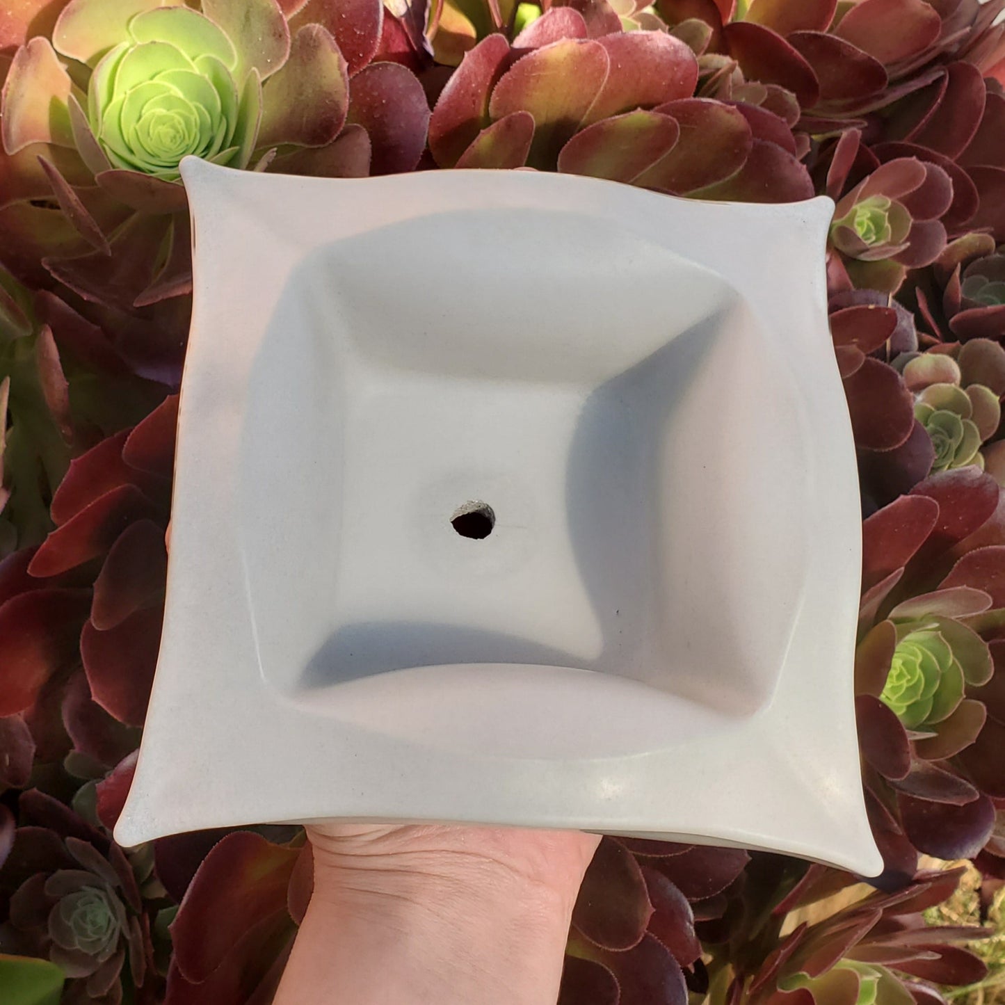 Geometric Square Cement Planter