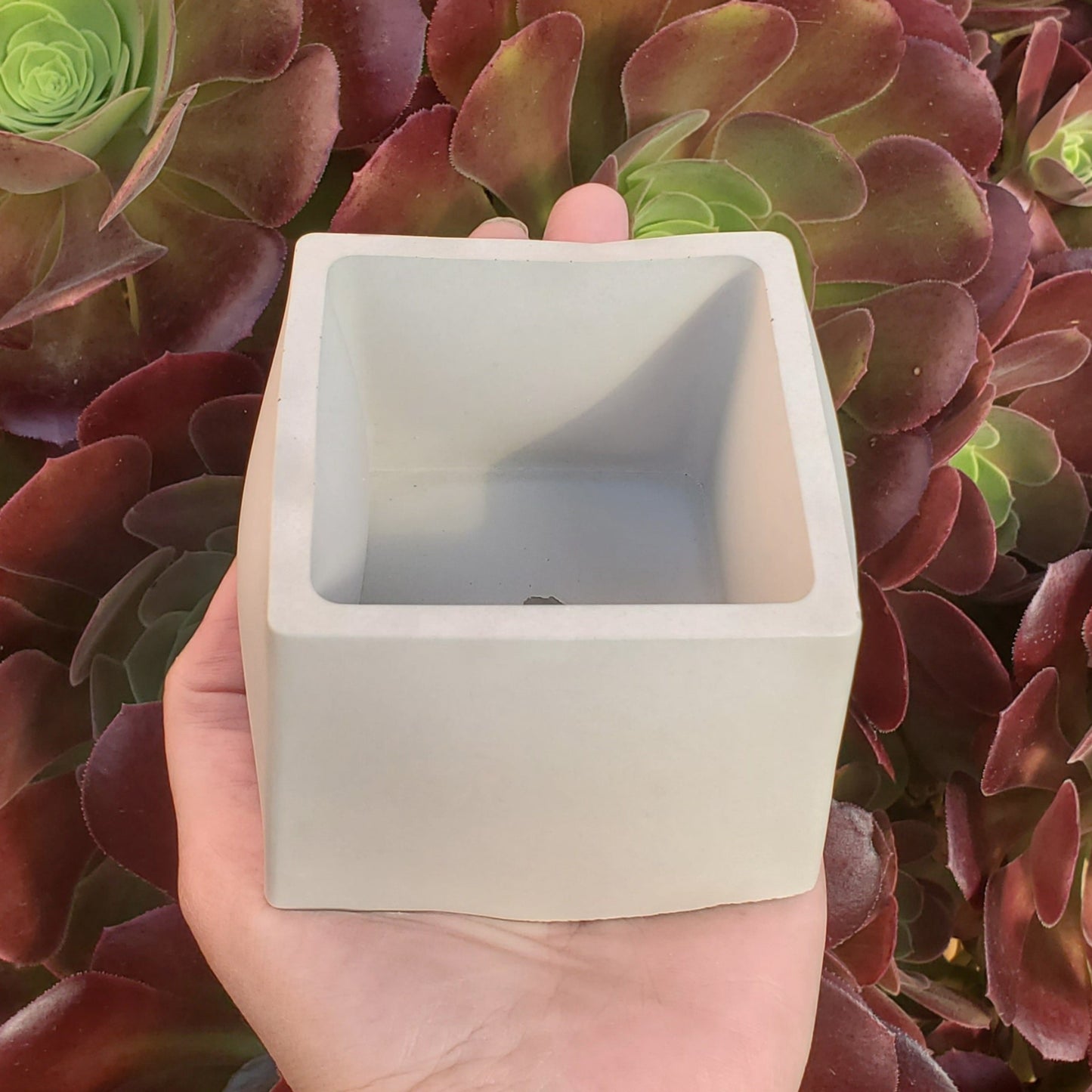 Square Cement Planter