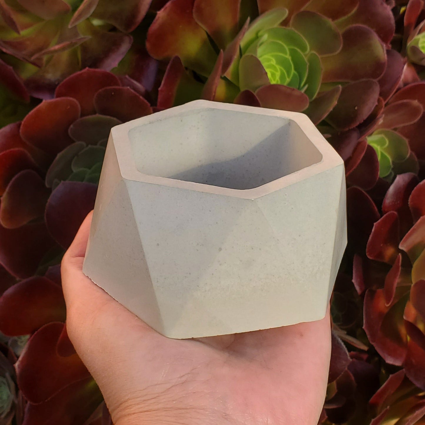 Hexagon Cement Planter