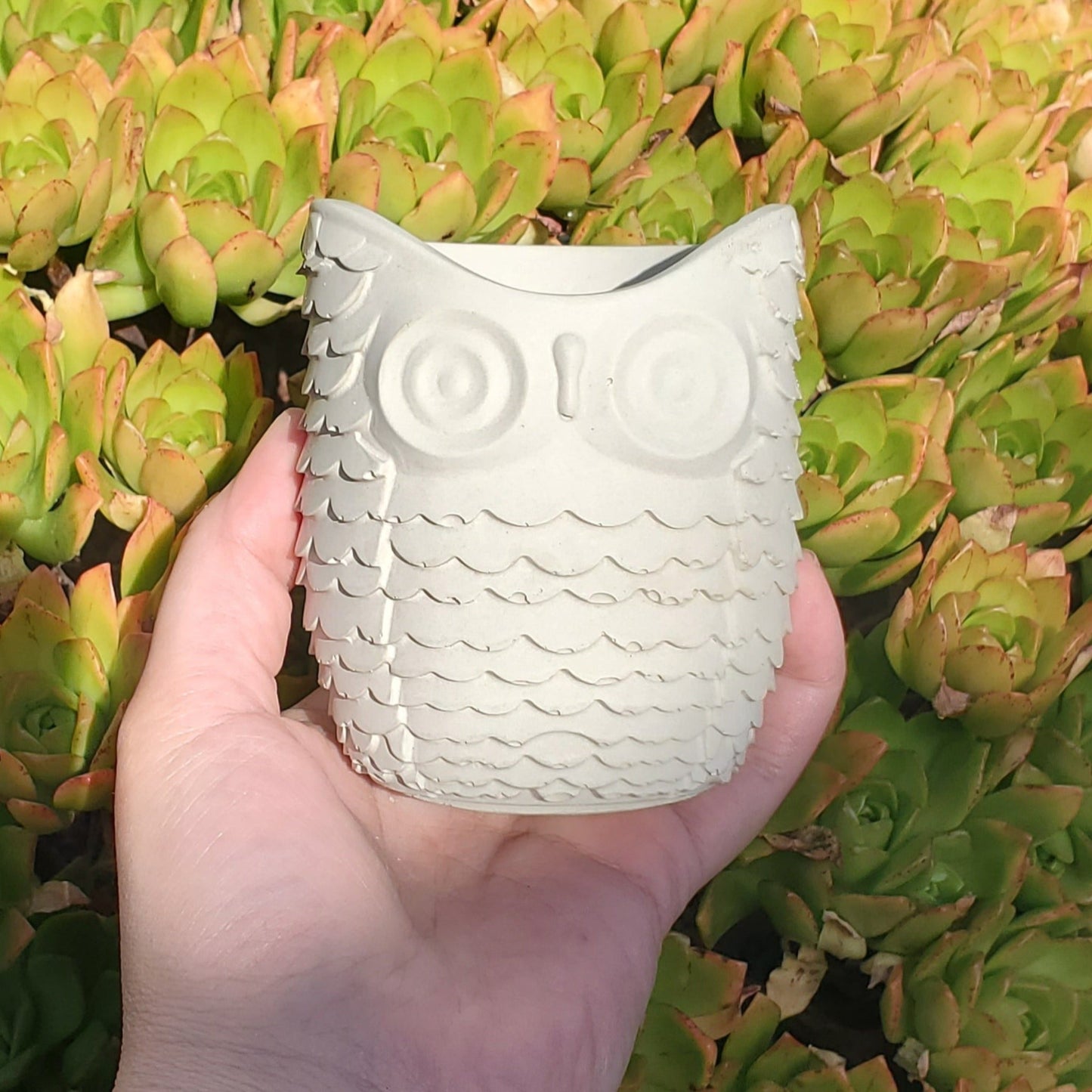 Owl Cement Planter