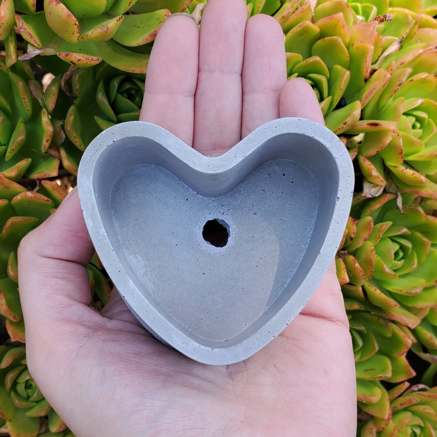 Small Heart Cement Planter