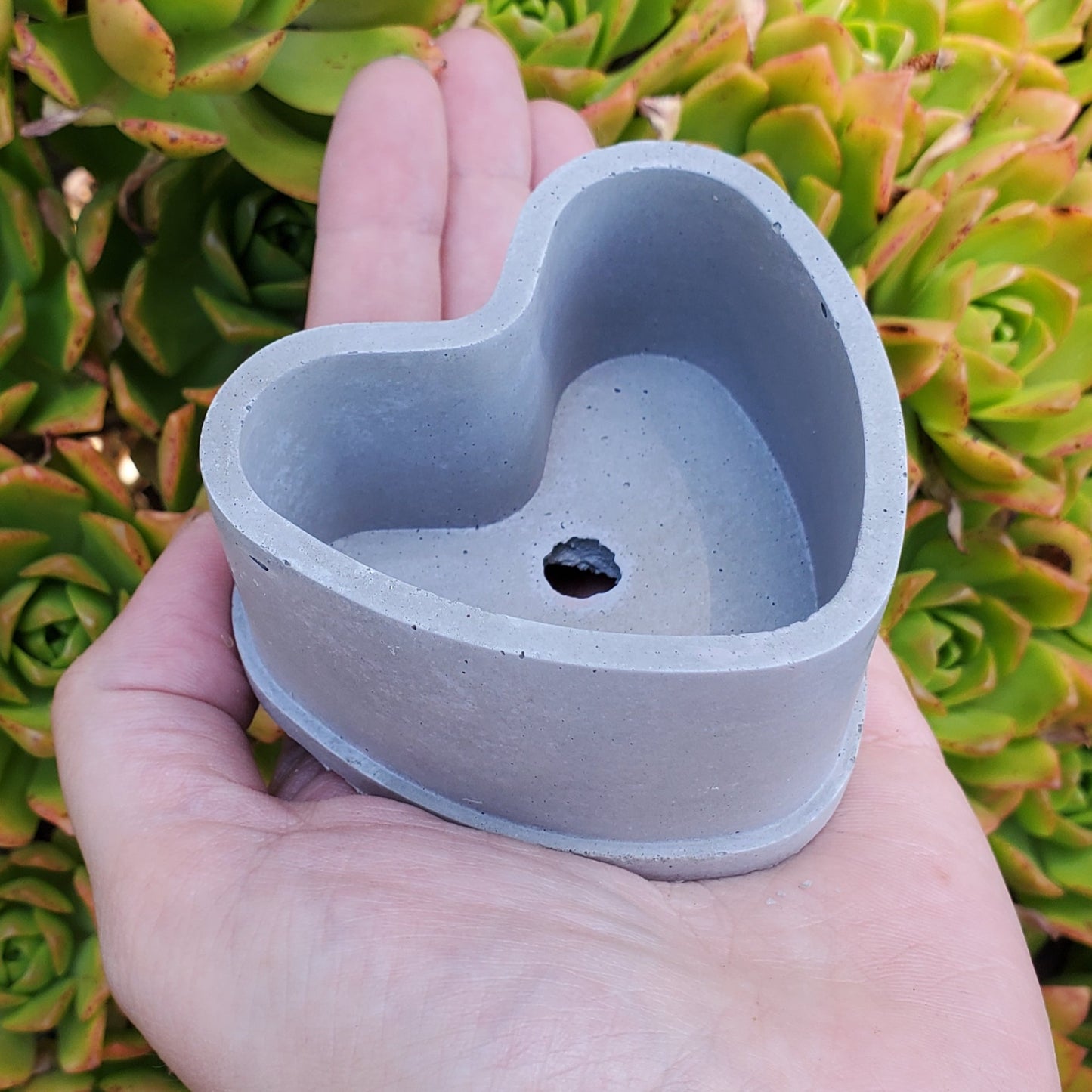 Small Heart Cement Planter