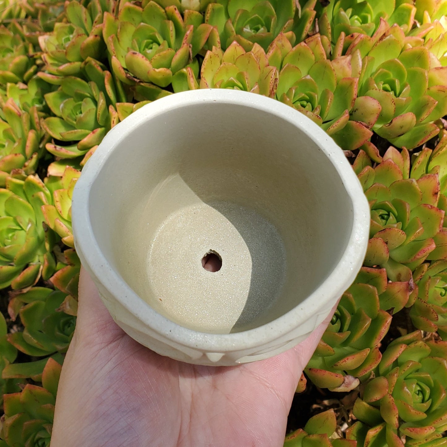 Owl Cement Planter