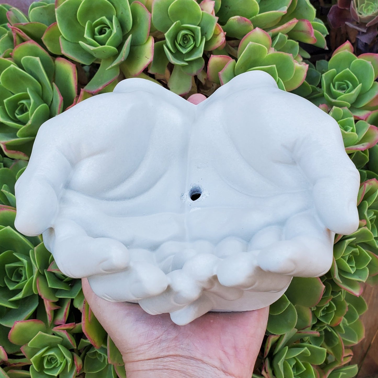 Cupped Hands Cement Planter