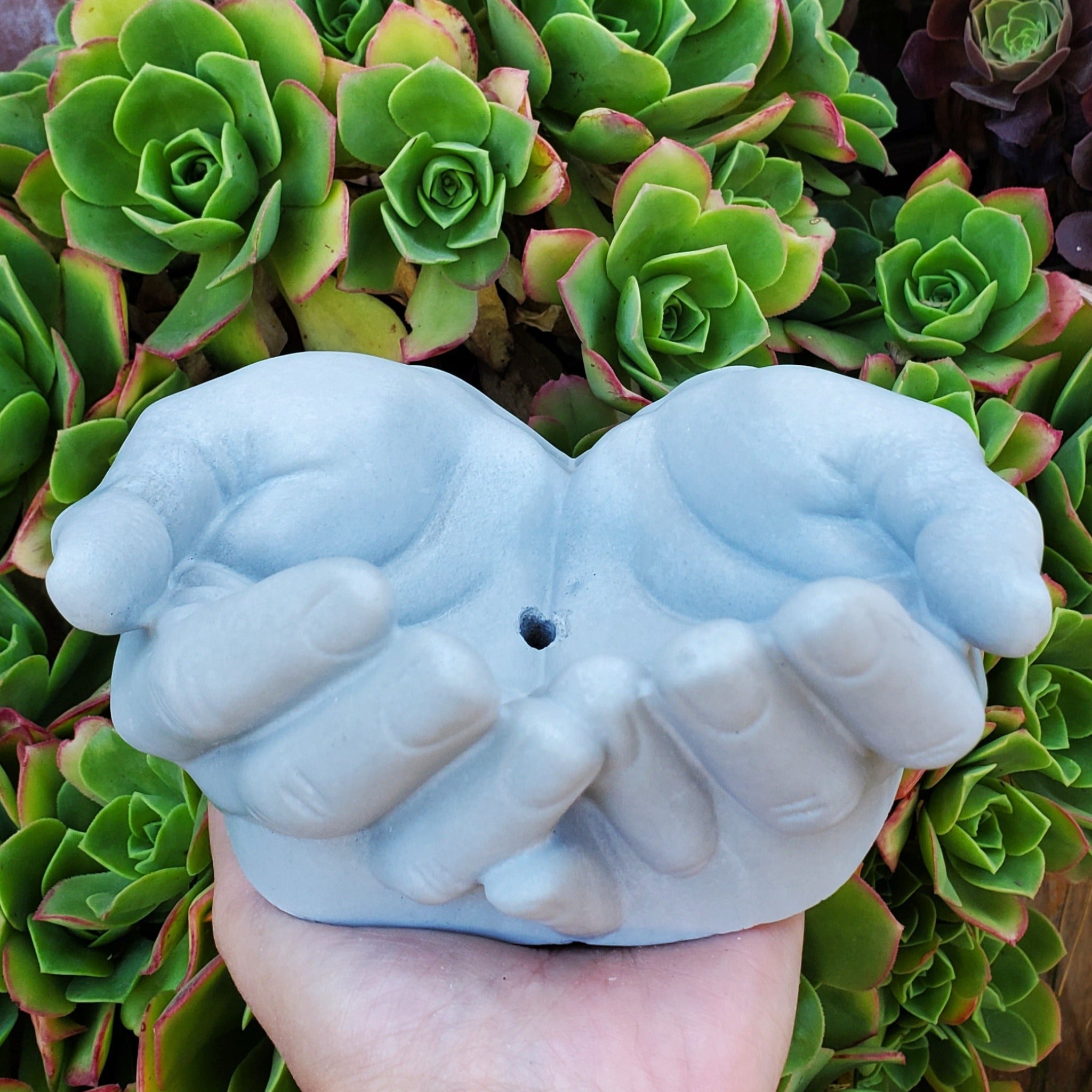 plant concrete pot Cupped Hands Cement Planter