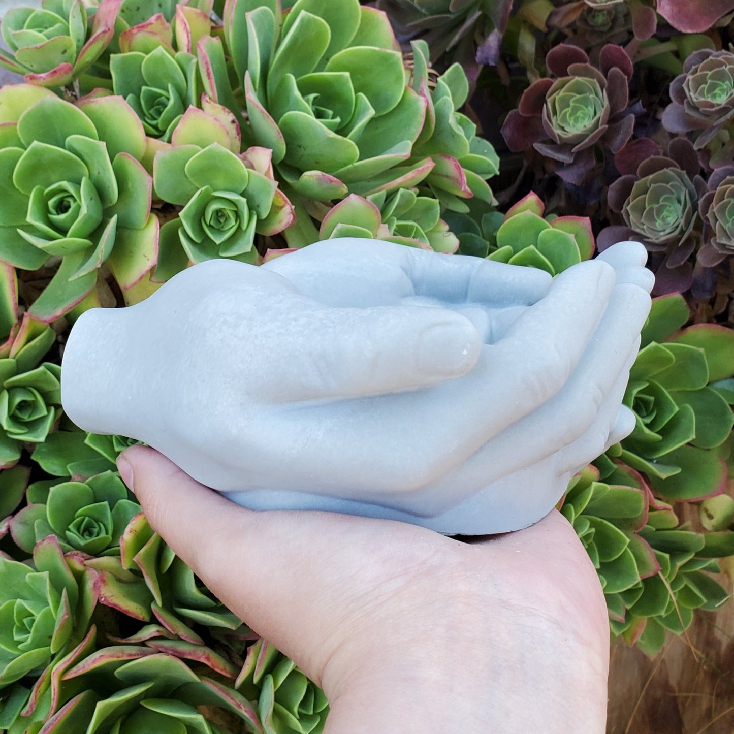 Cupped Hands Cement Planter