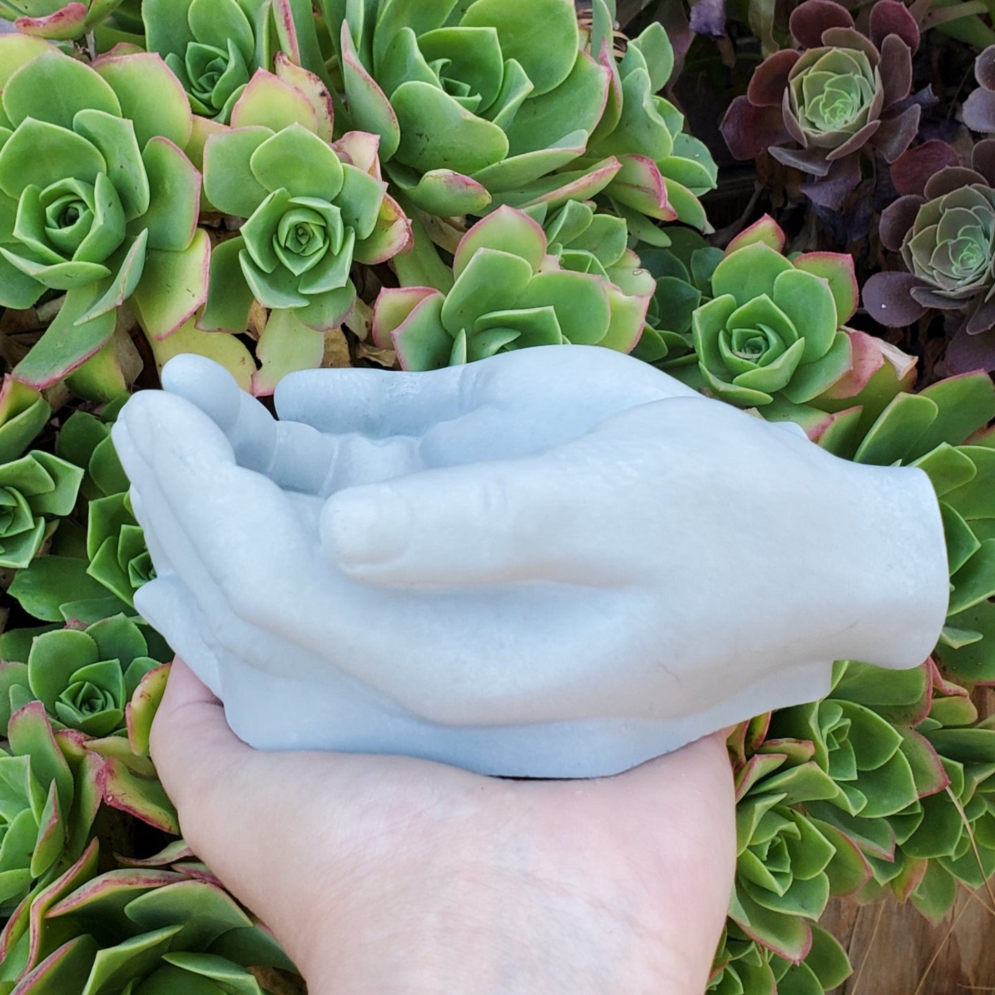 Cupped Hands Cement Planter