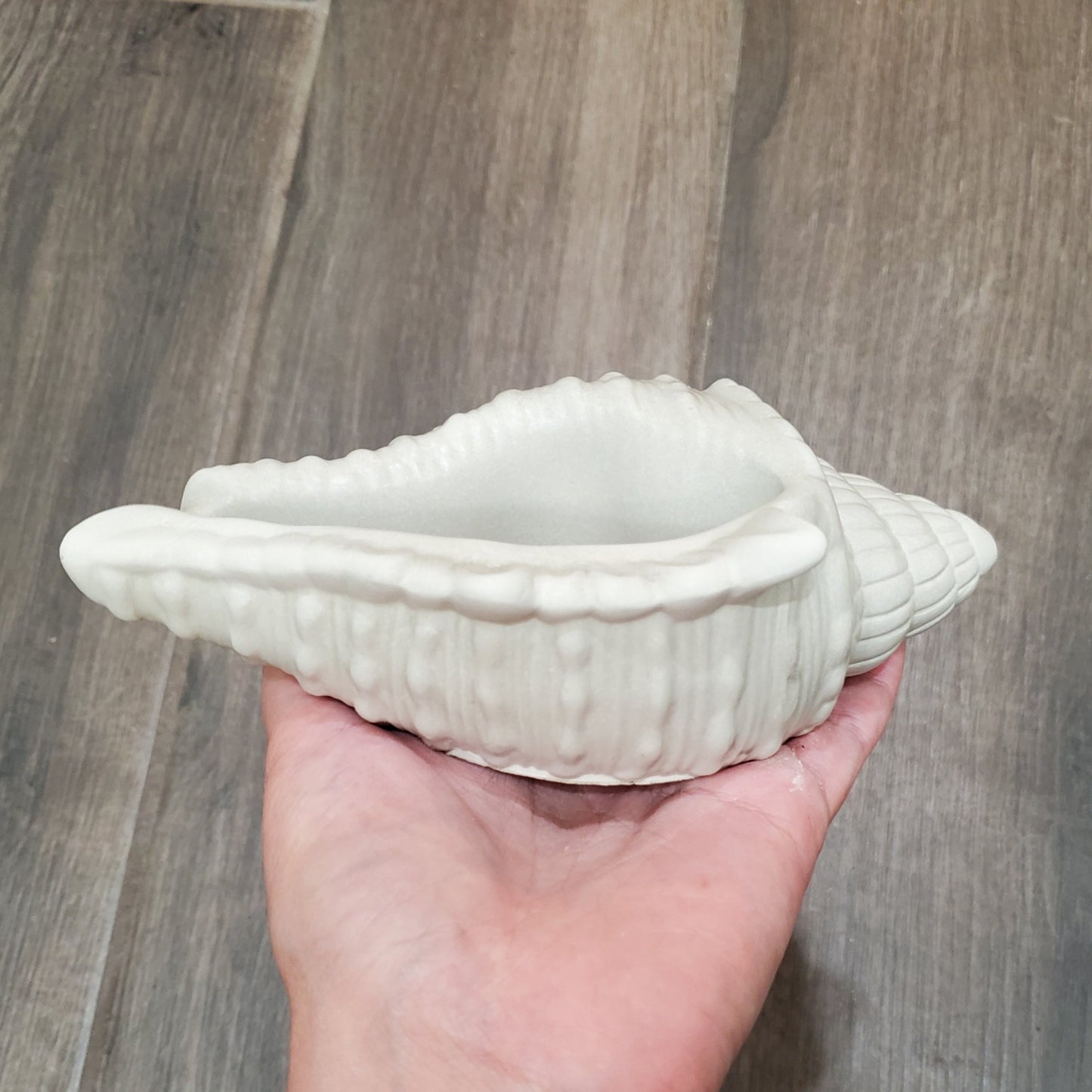 Large Seashell Cement Planter