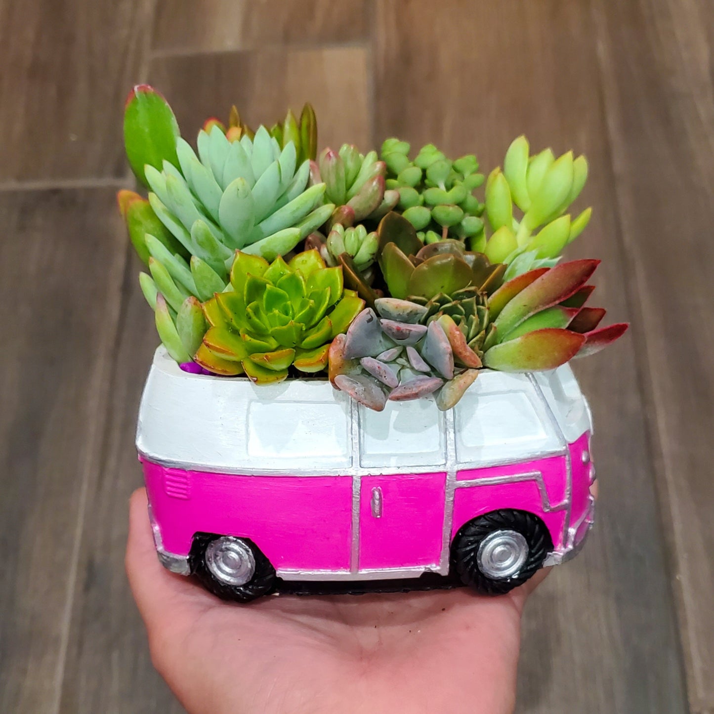 Retro Bus Succulent Arrangement