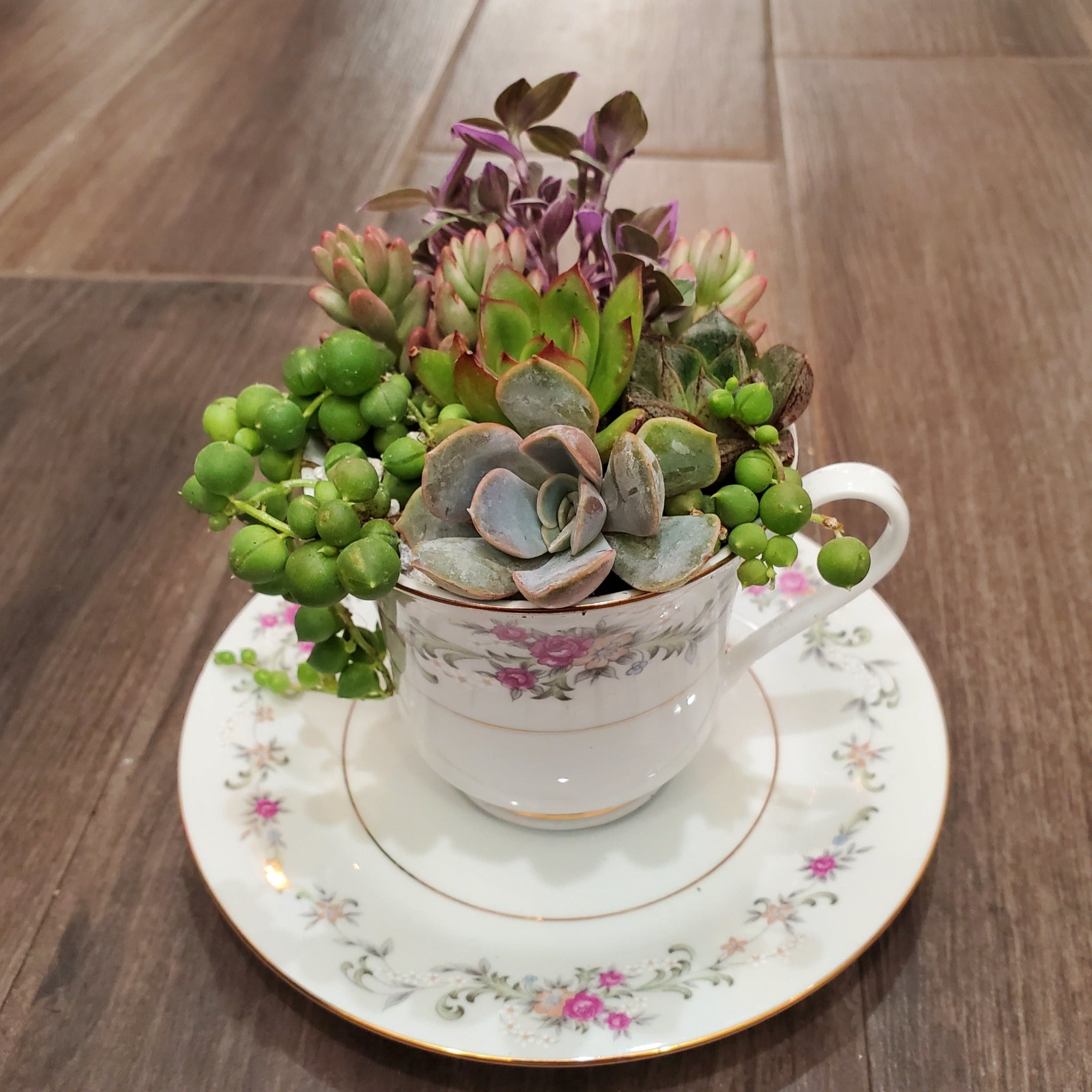 teacup succulent pots Succulent Teacup Arrangement