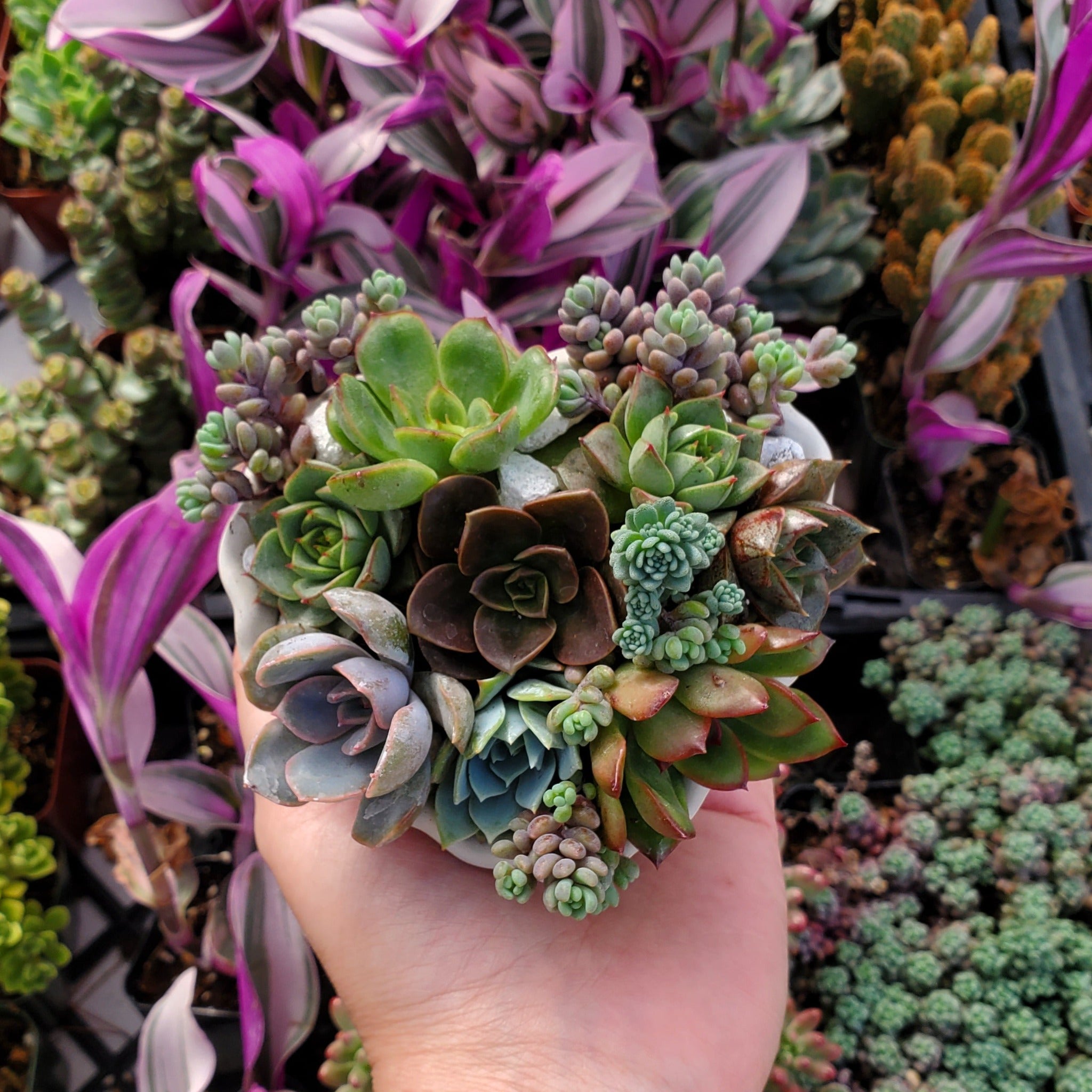 succulent in cement pot Heart Cement Planter Succulent Arrangement