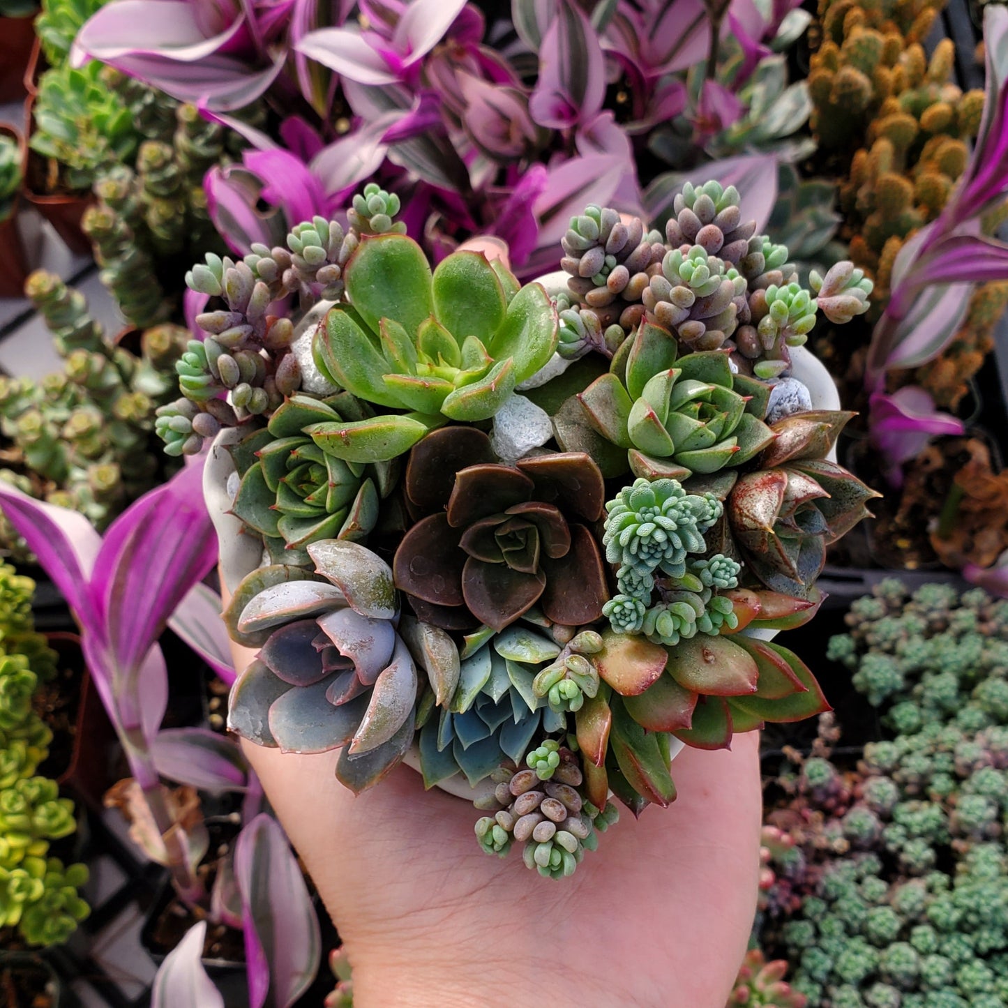 Heart Cement Planter Succulent Arrangement
