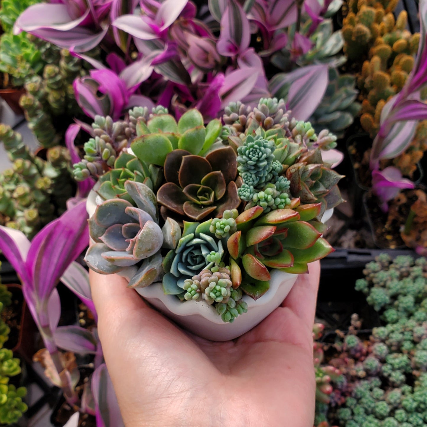 Heart Cement Planter Succulent Arrangement