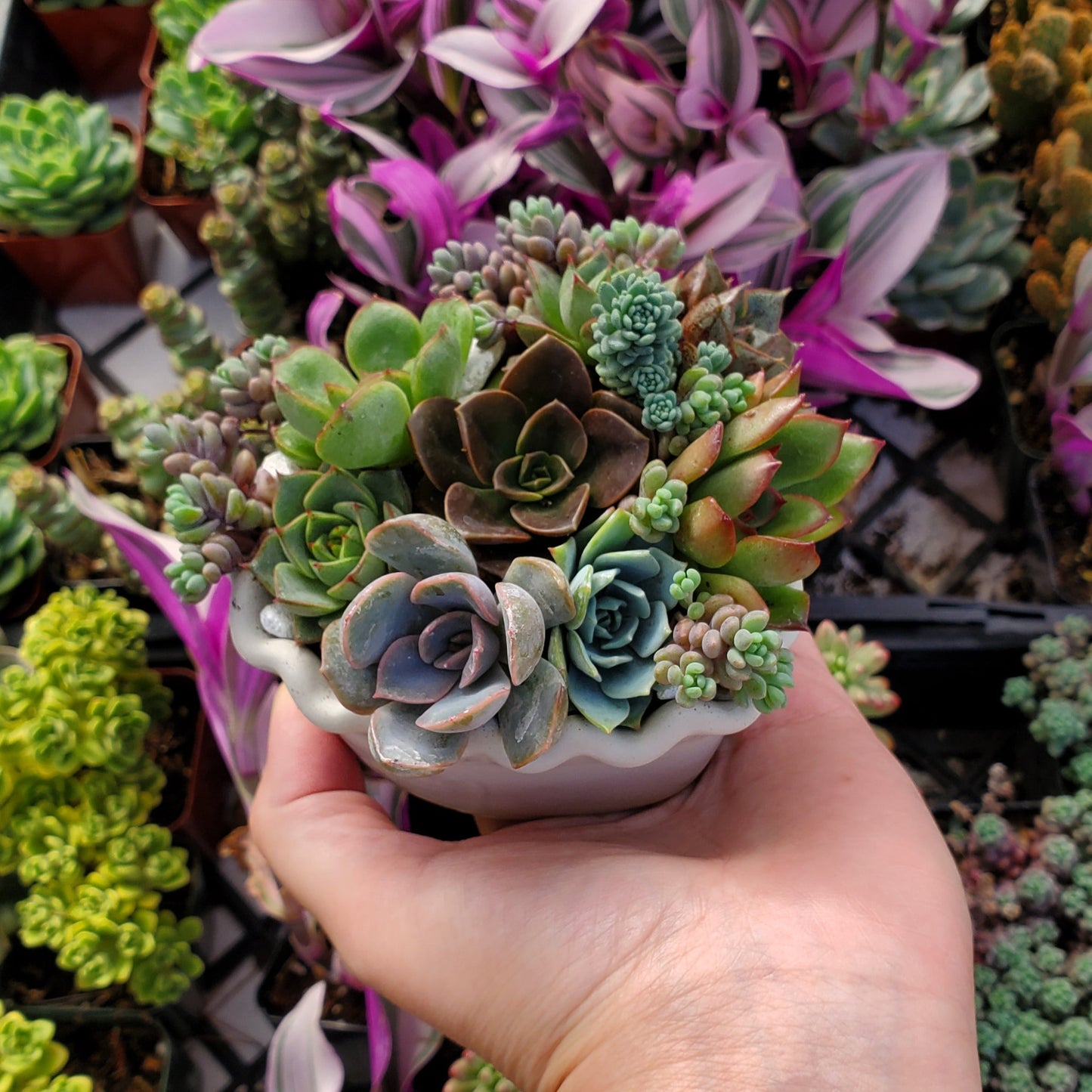 Heart Cement Planter Succulent Arrangement