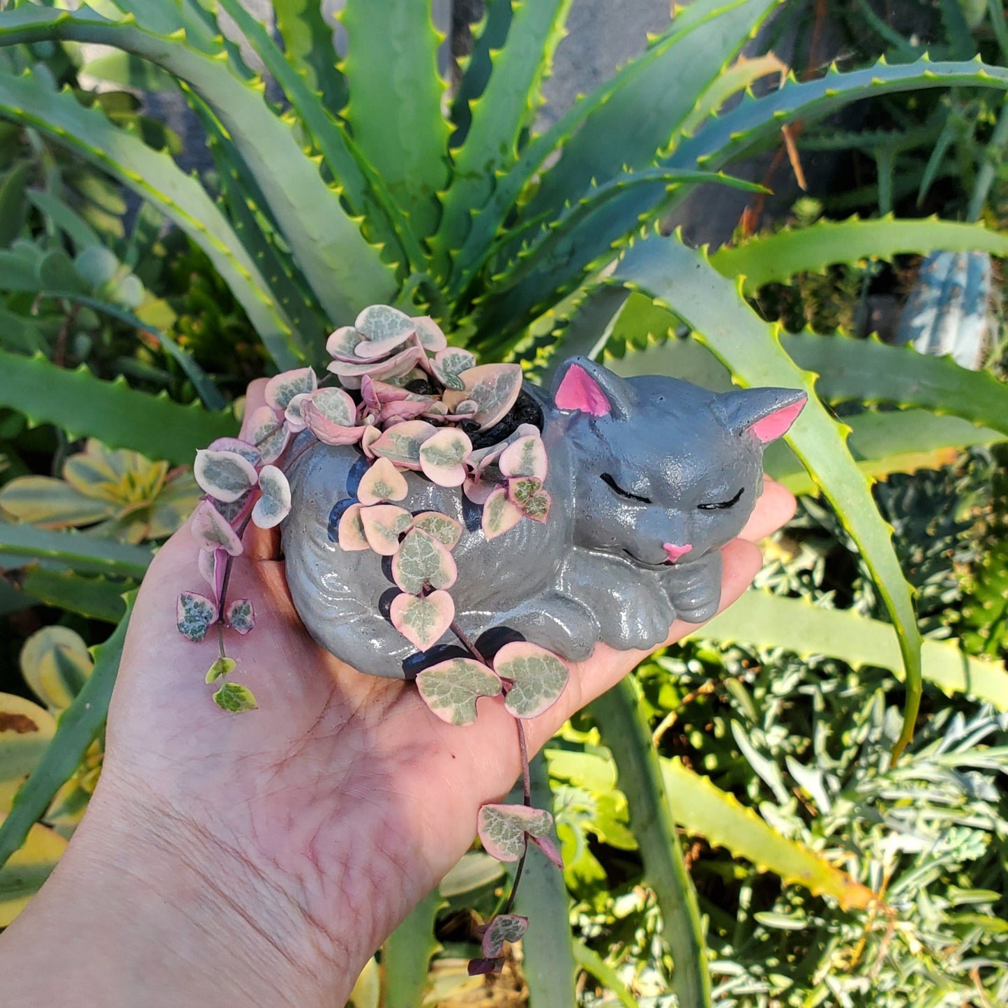 'Variegated String of Hearts' Succulent Kitten Arrangement