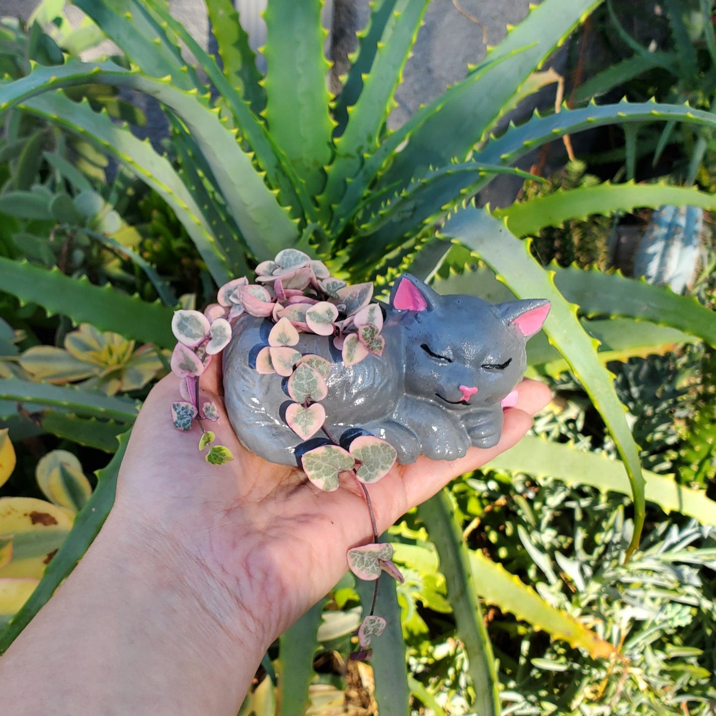 'Variegated String of Hearts' Succulent Kitten Arrangement
