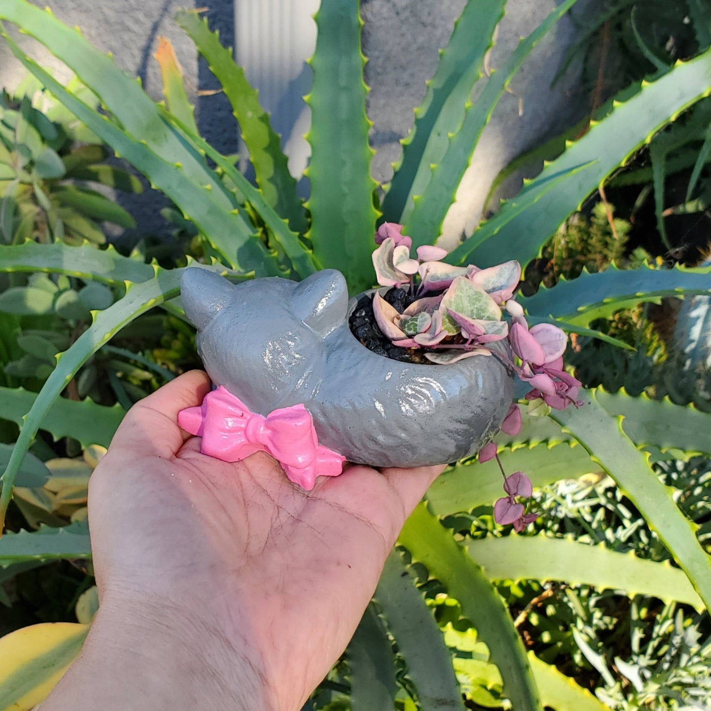 'Variegated String of Hearts' Succulent Kitten Arrangement