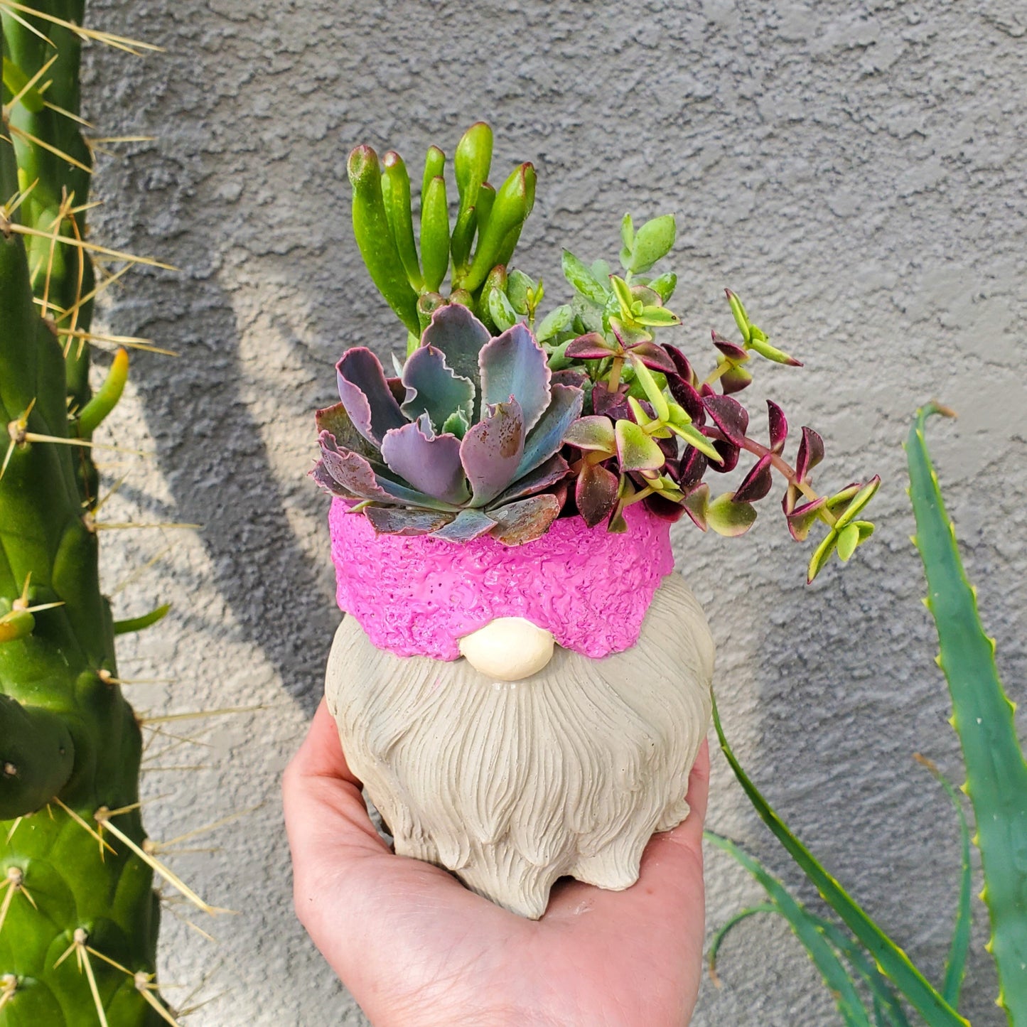 Spring Succulent Gnome Arrangement
