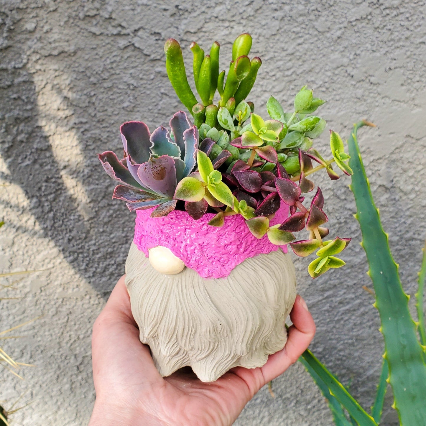 Spring Succulent Gnome Arrangement
