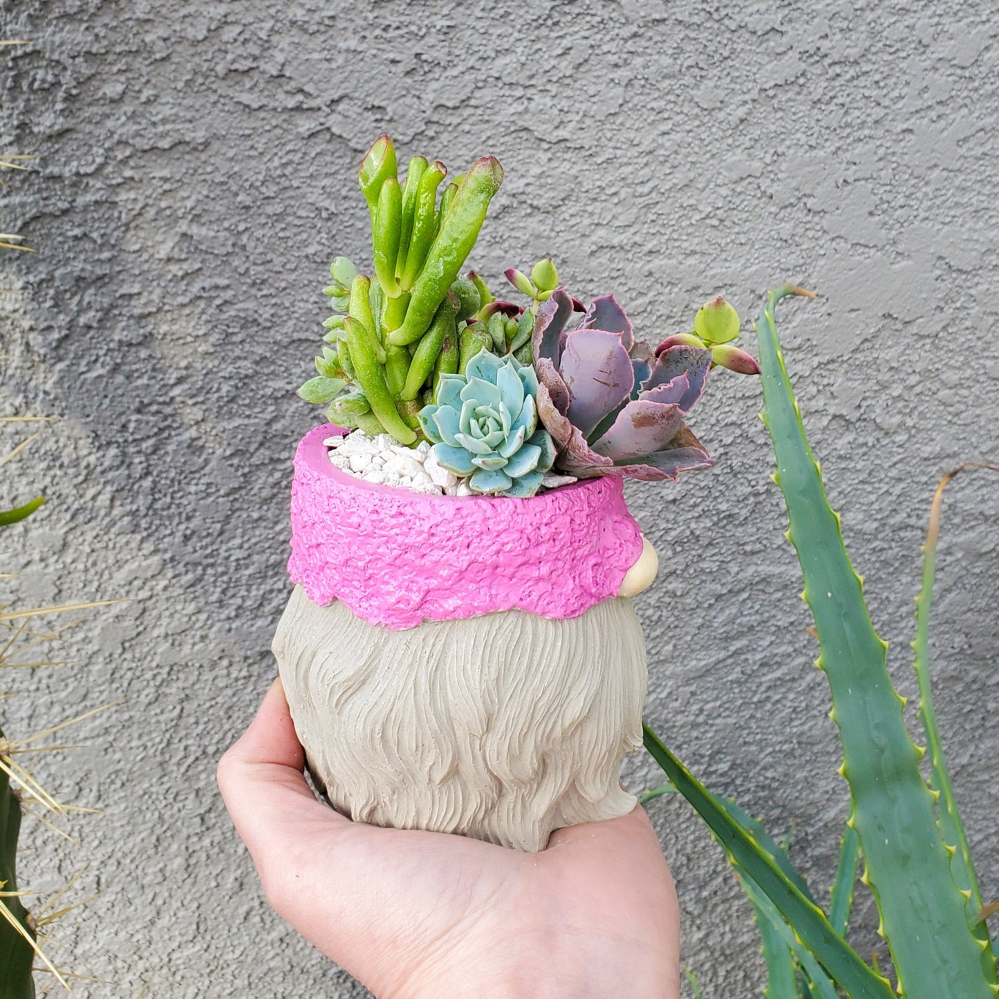 Spring Succulent Gnome Arrangement