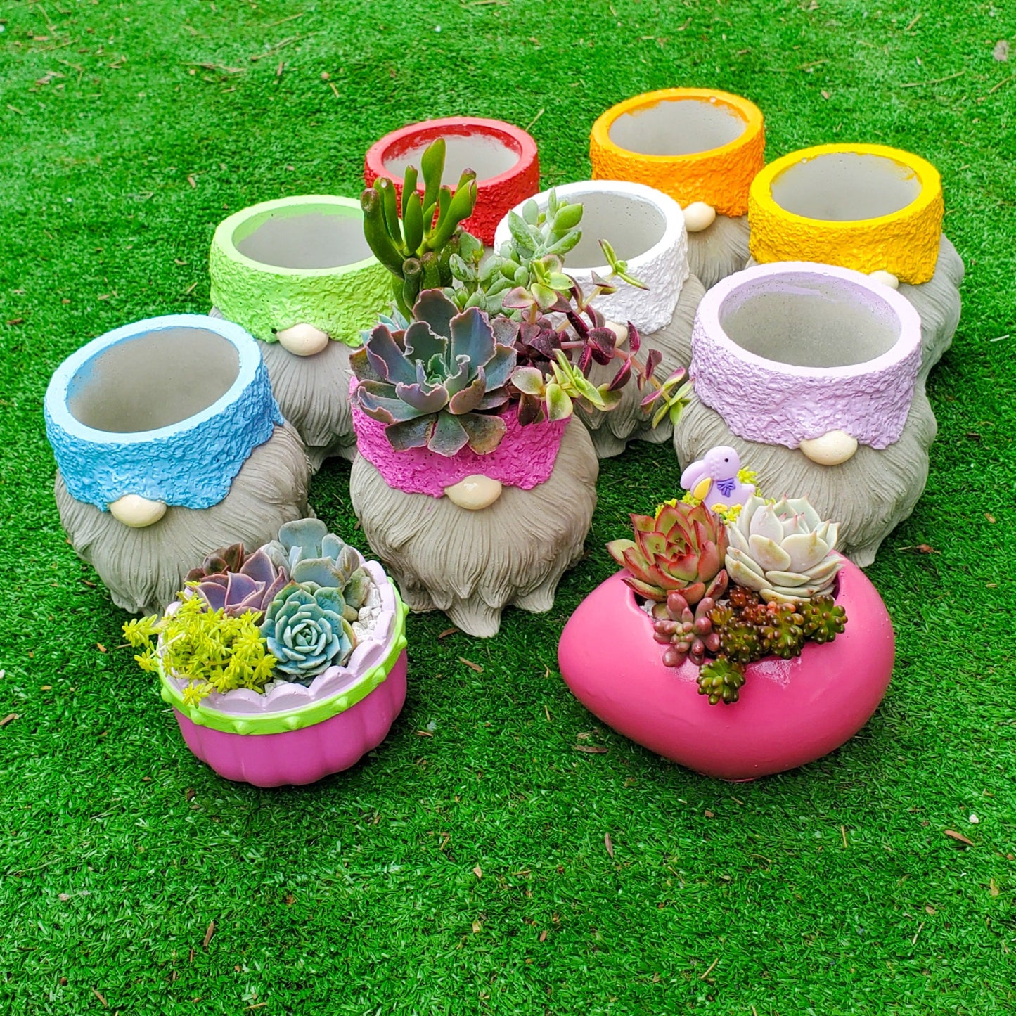 Spring Succulent Gnome Arrangement