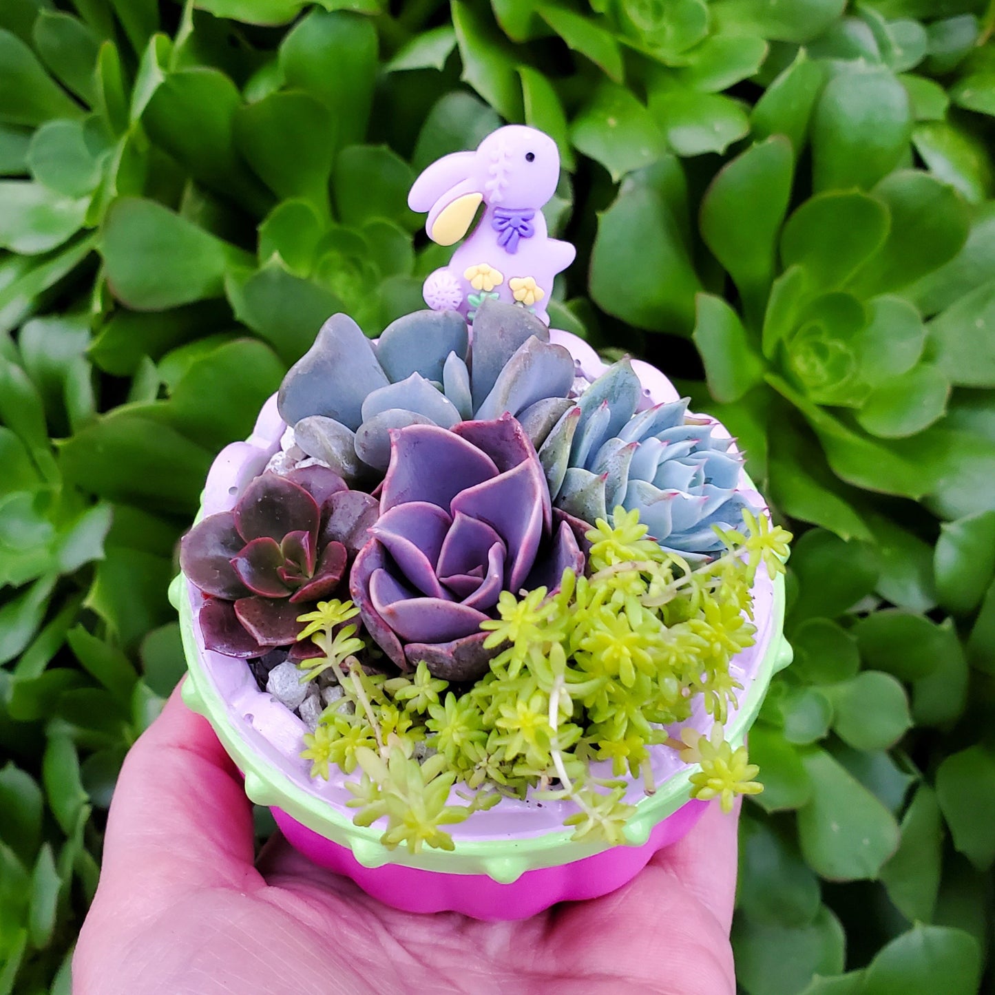 Succulent Easter Basket Arrangement