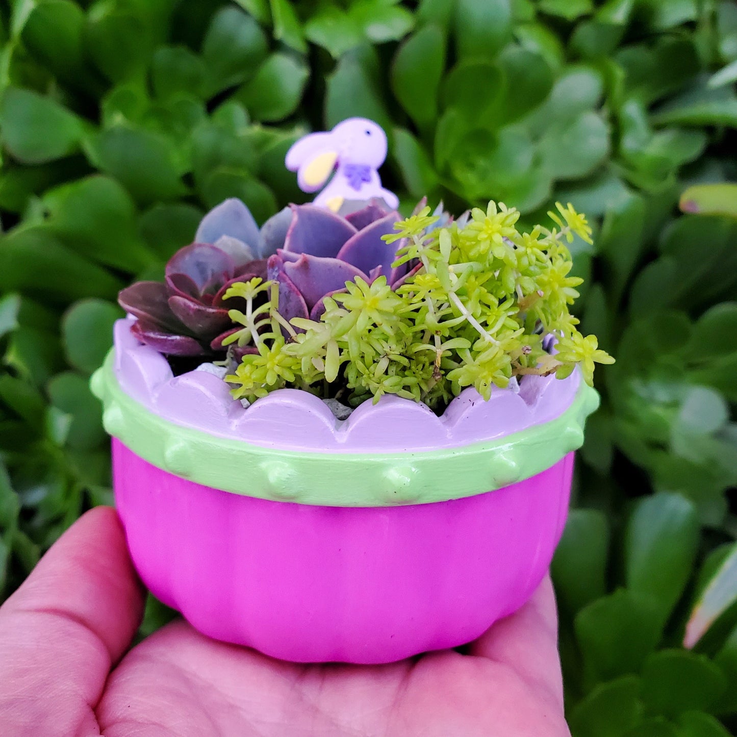 Succulent Easter Basket Arrangement