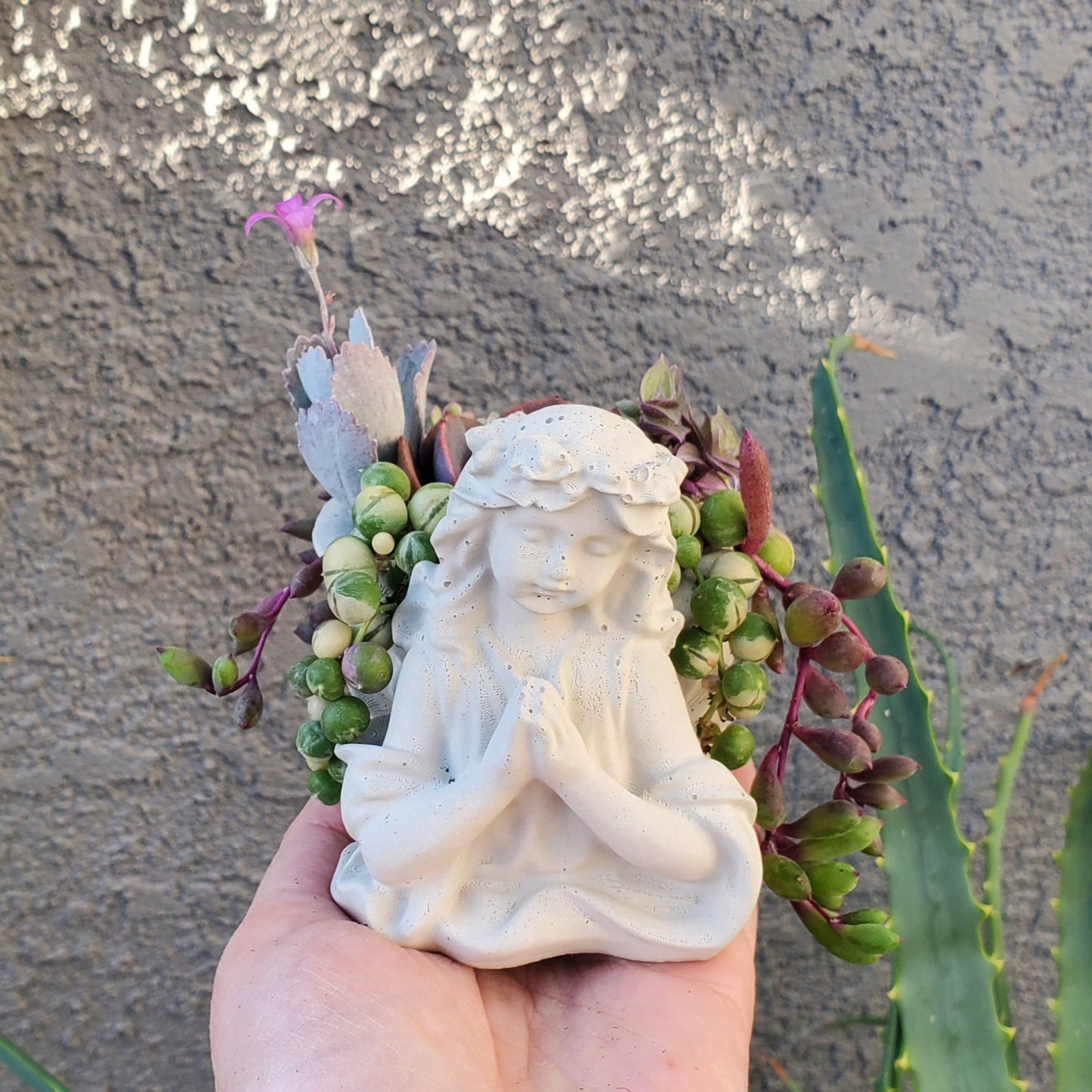 Succulent Angel Arrangement