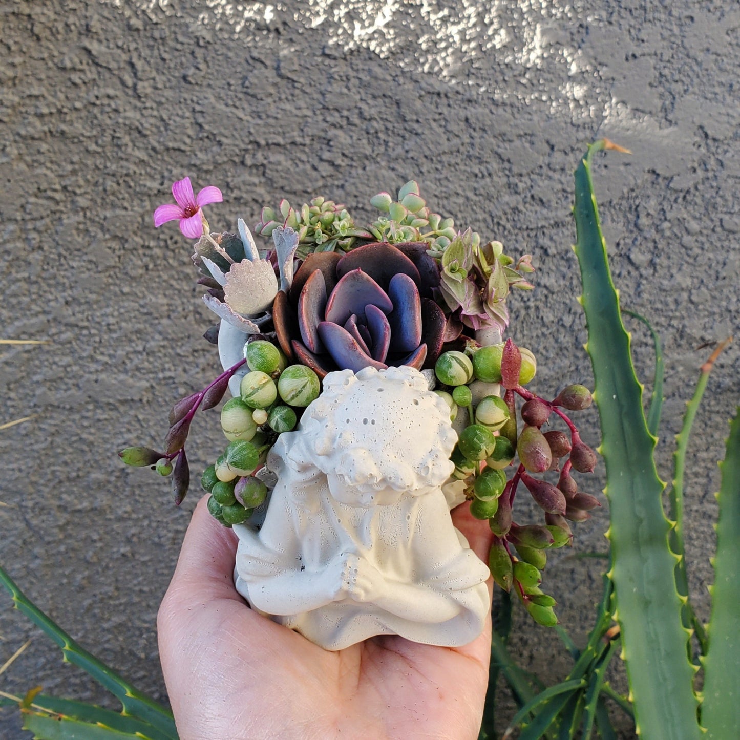 Succulent Angel Arrangement