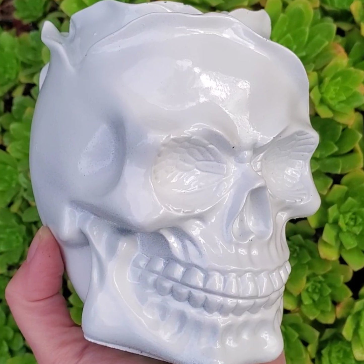 Rose Skull Cement Planter