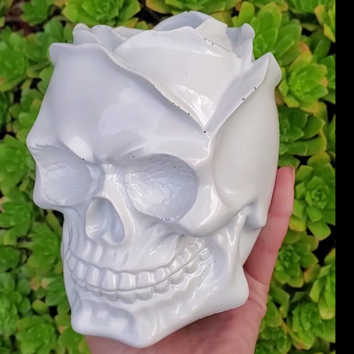 Rose Skull Cement Planter