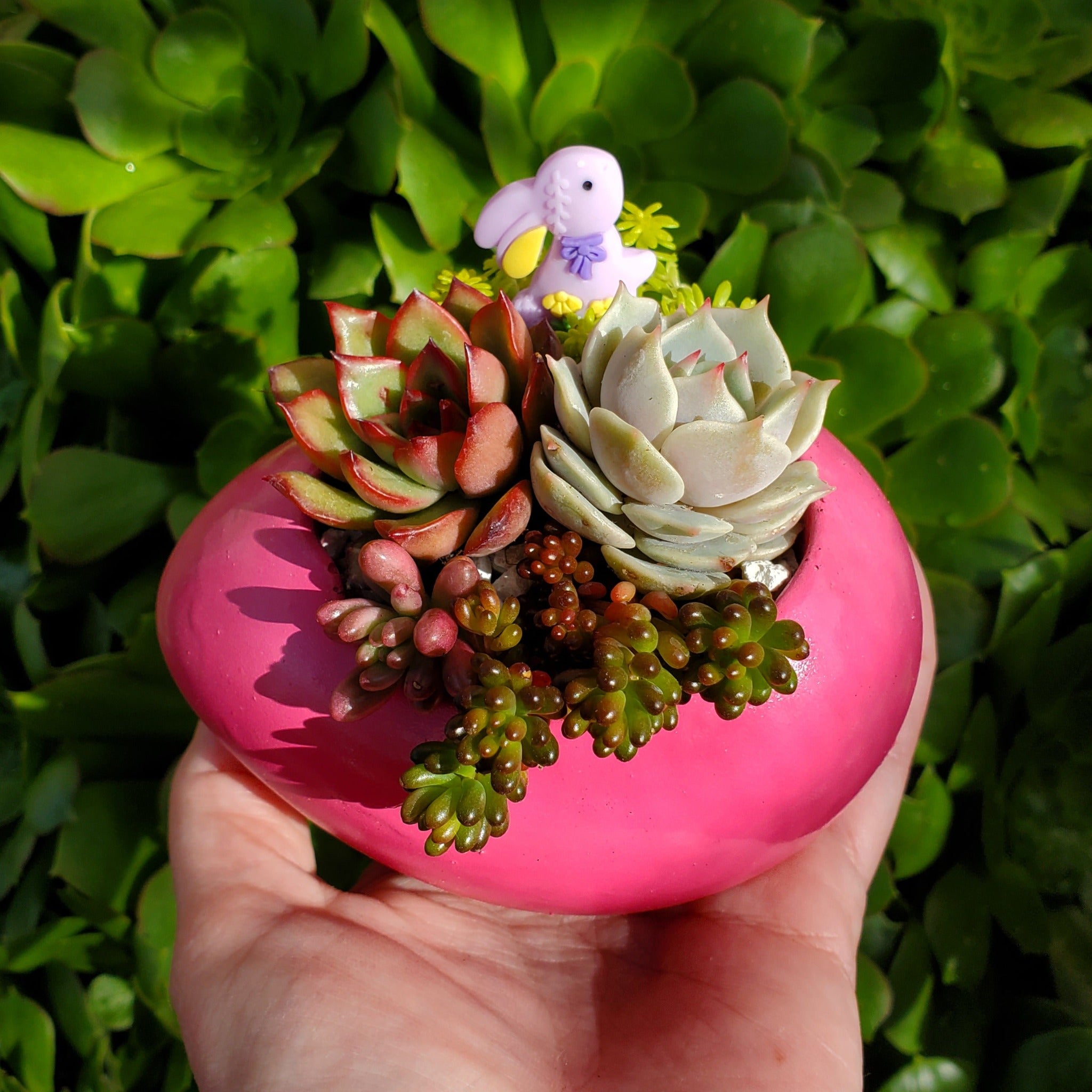 easter egg succulent Succulent Easter Egg Arrangement