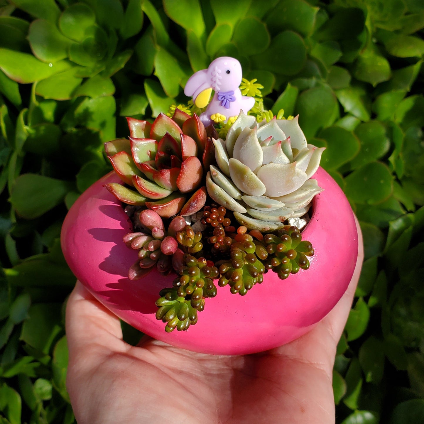 Succulent Easter Egg Arrangement