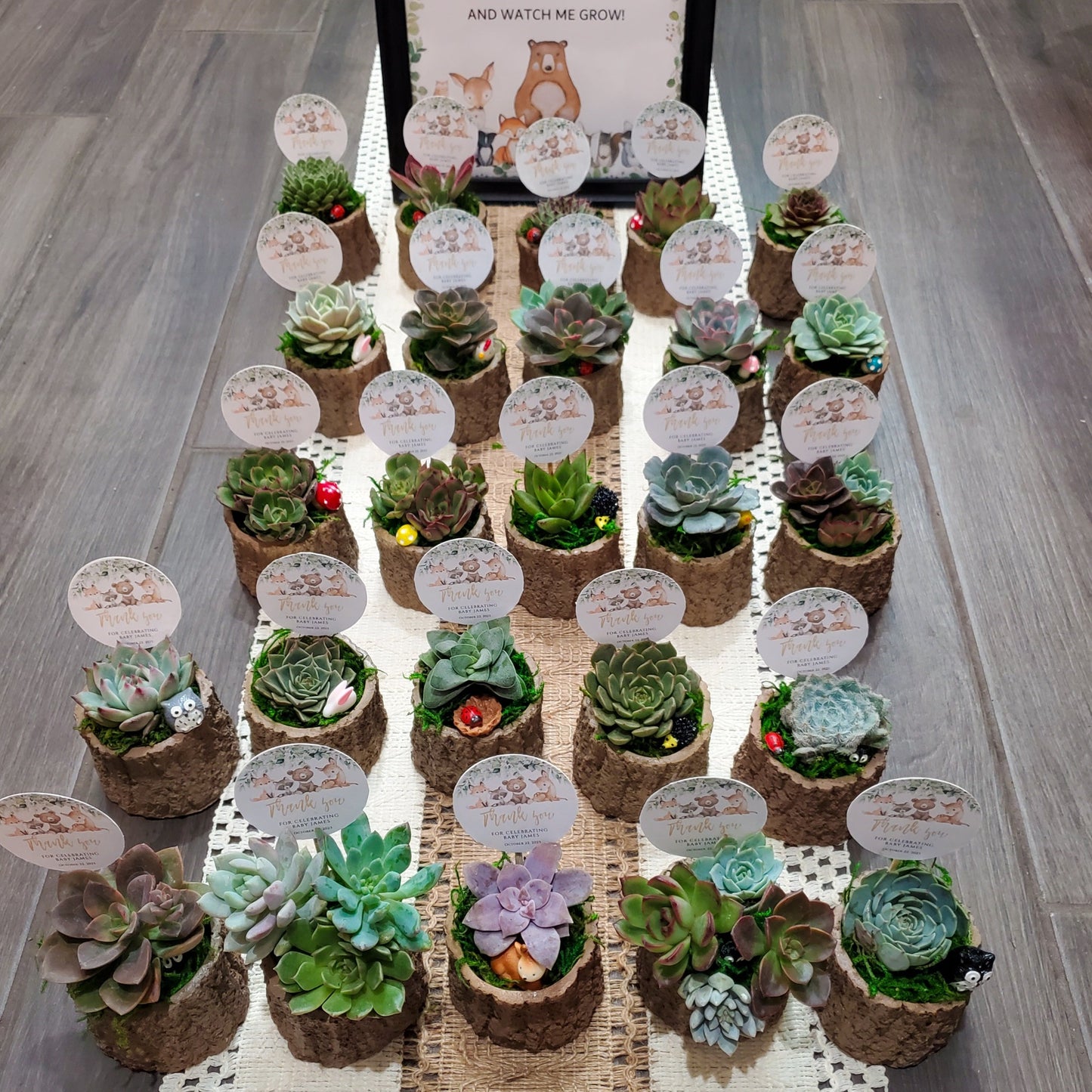 Woodland Themed Succulent Favors