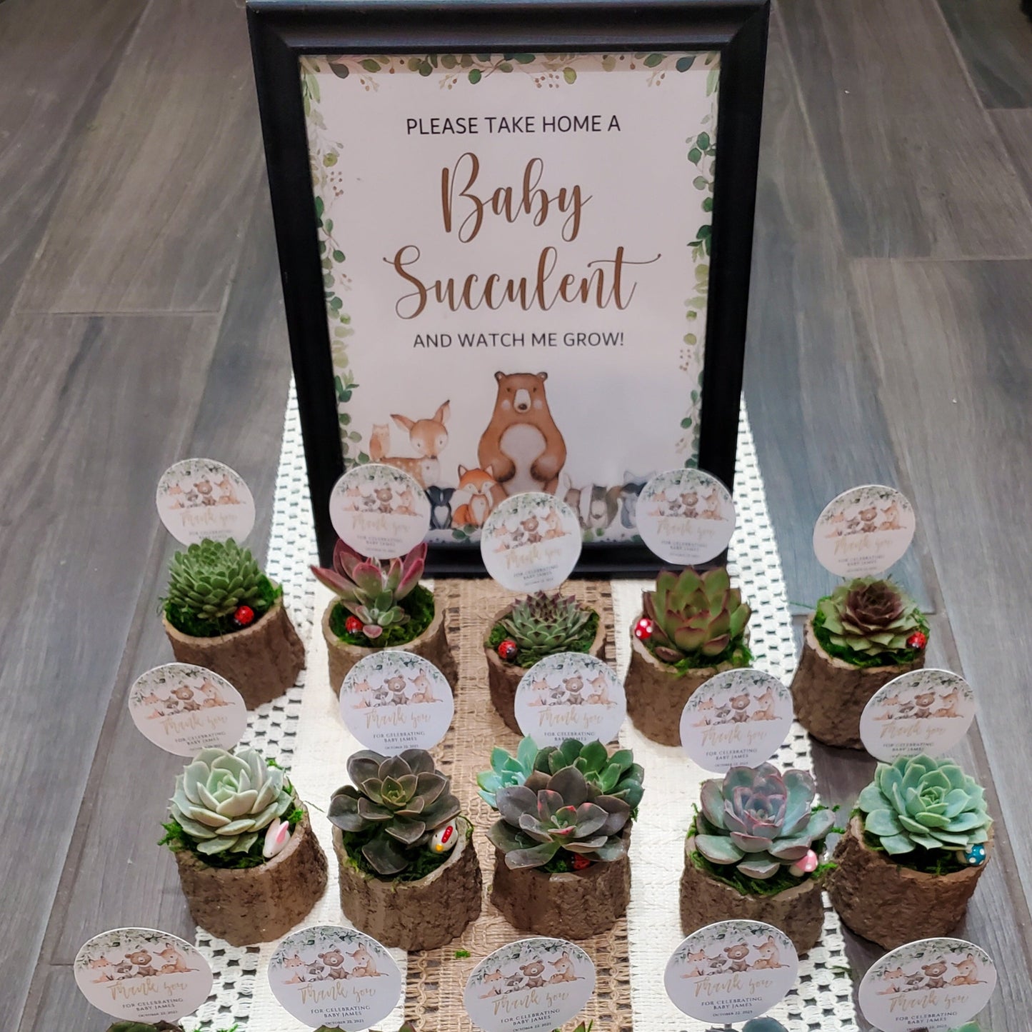 Woodland Themed Succulent Favors