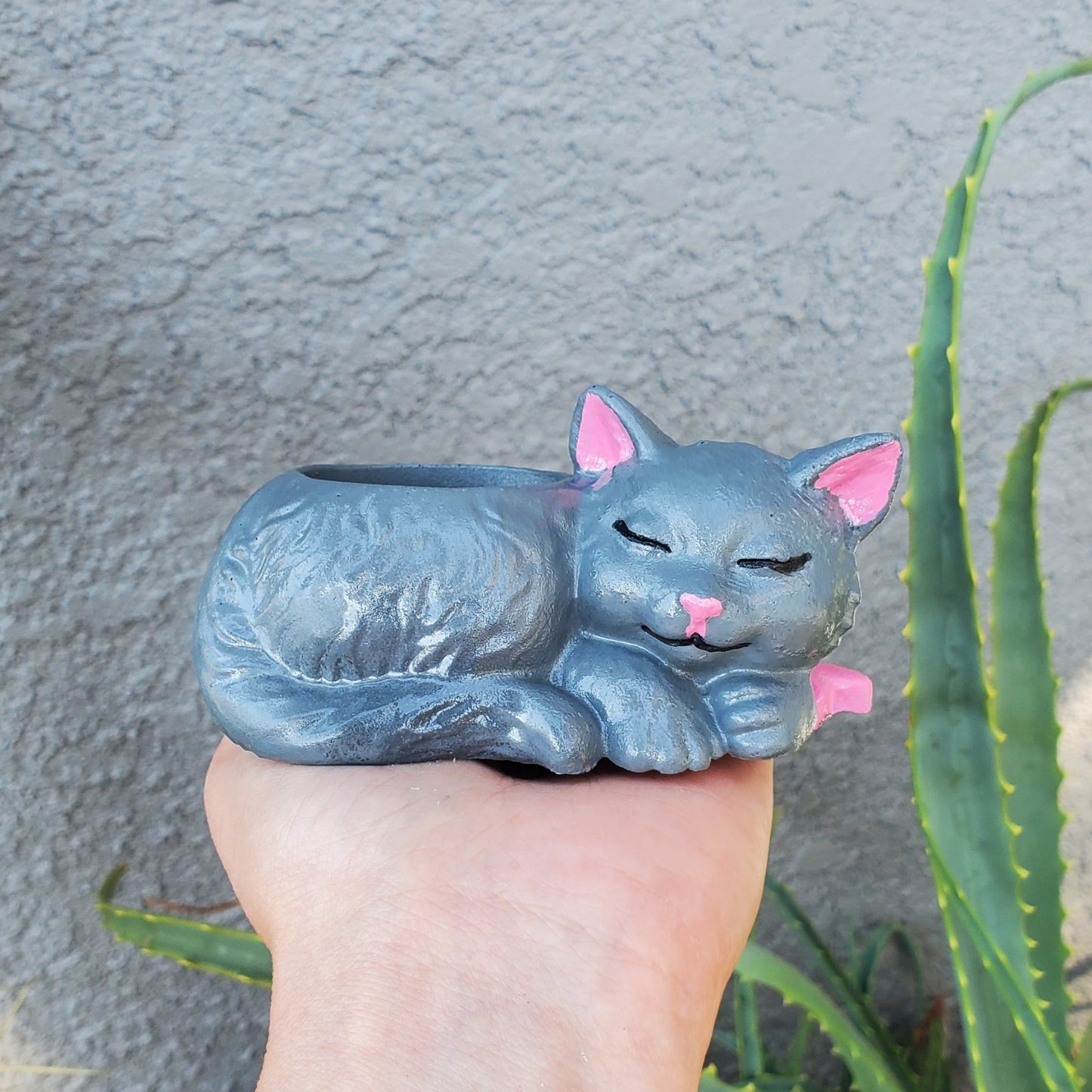 'Calico Kitten' Succulent Kitten Arrangement