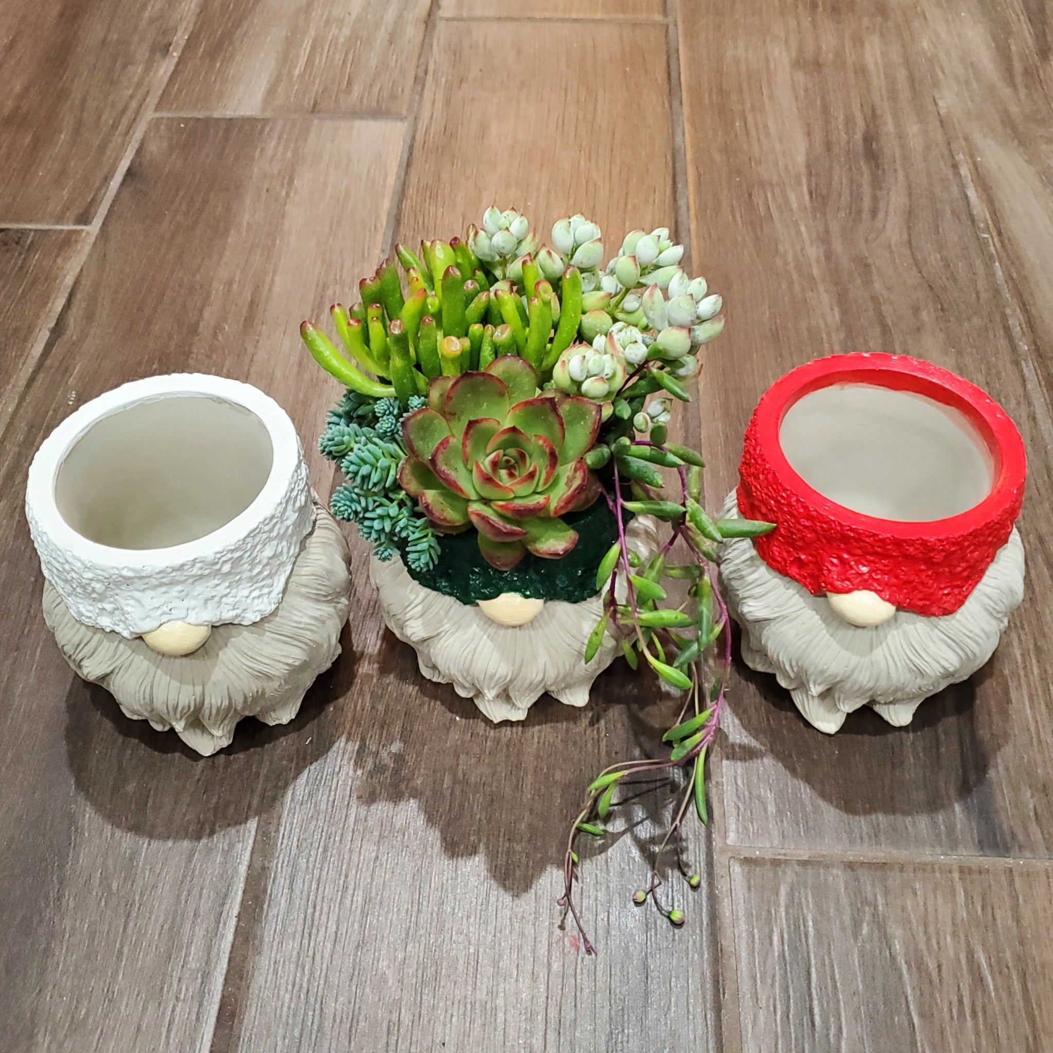 succulent gnomes Succulent Gnome Arrangement