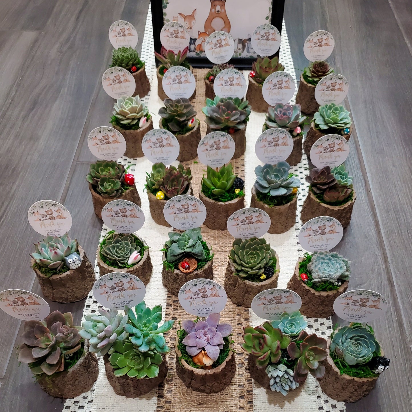 Woodland Themed Succulent Favors